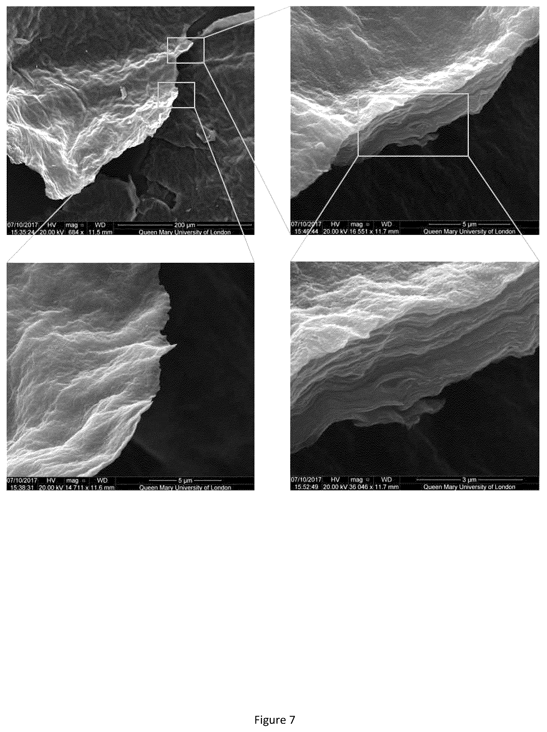 Patent US12569588 Figure 8 – Self-assembling graphene oxide-protein matrix