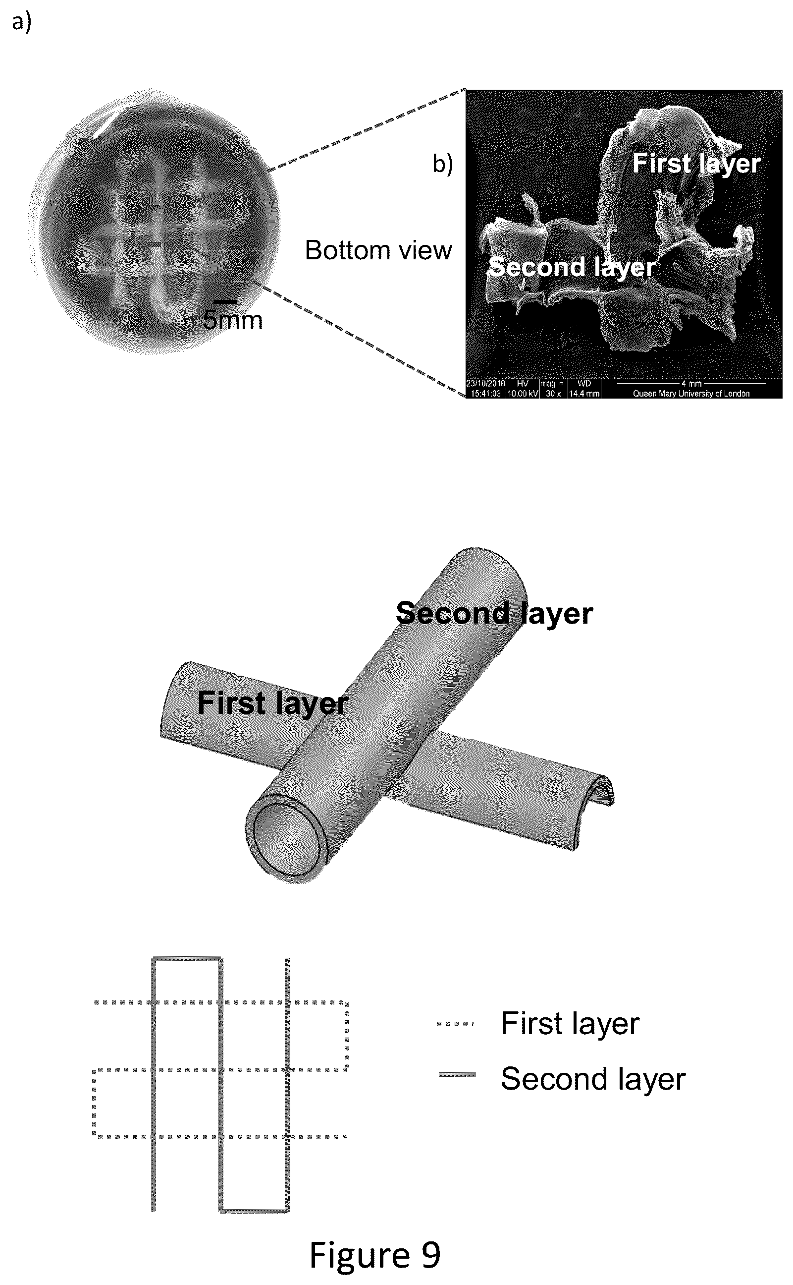 Patent US12569588 Figure 11 – Self-assembling graphene oxide-protein matrix