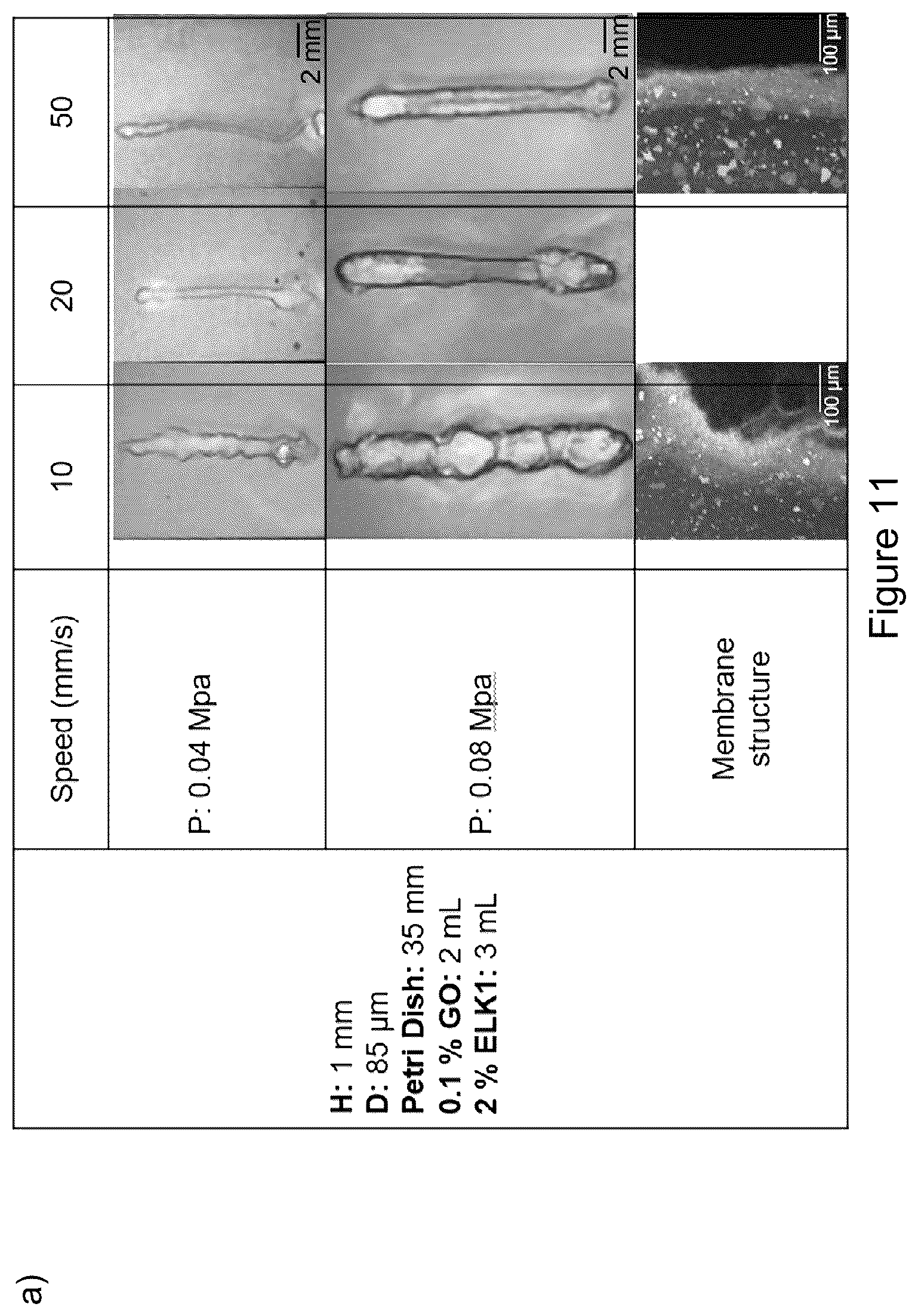 Patent US12569588 Figure 14 – Self-assembling graphene oxide-protein matrix