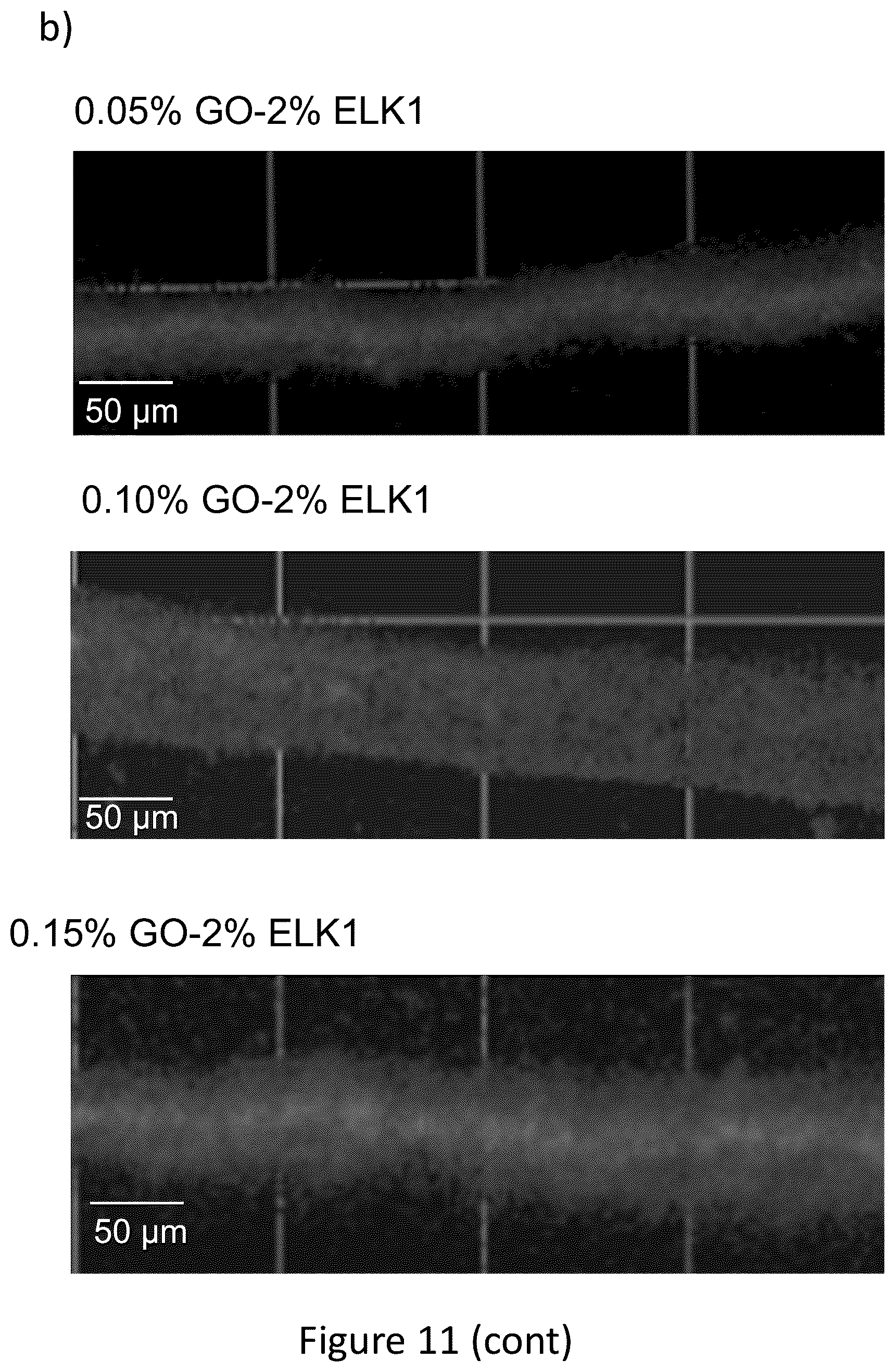 Patent US12569588 Figure 15 – Self-assembling graphene oxide-protein matrix