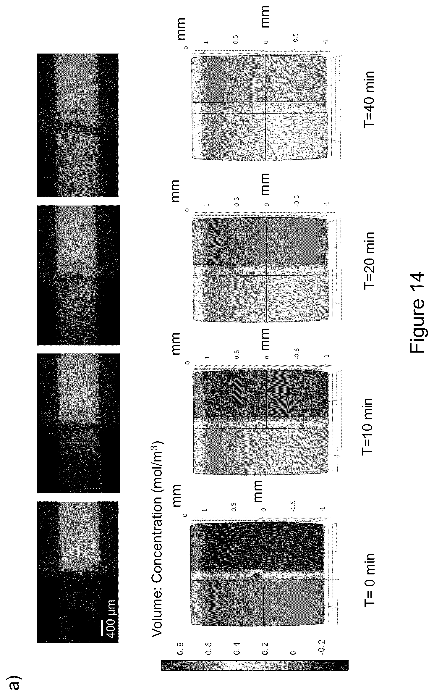 Patent US12569588 Figure 18 – Self-assembling graphene oxide-protein matrix