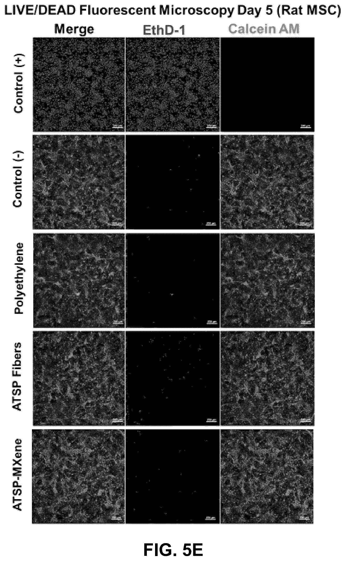 Patent US12569591 Figure 9 – Mxene-aromatic thermosetting copolyester nanocomposite as an extremely wear-resistant biocompatible implant material for osteoarthritis applications
