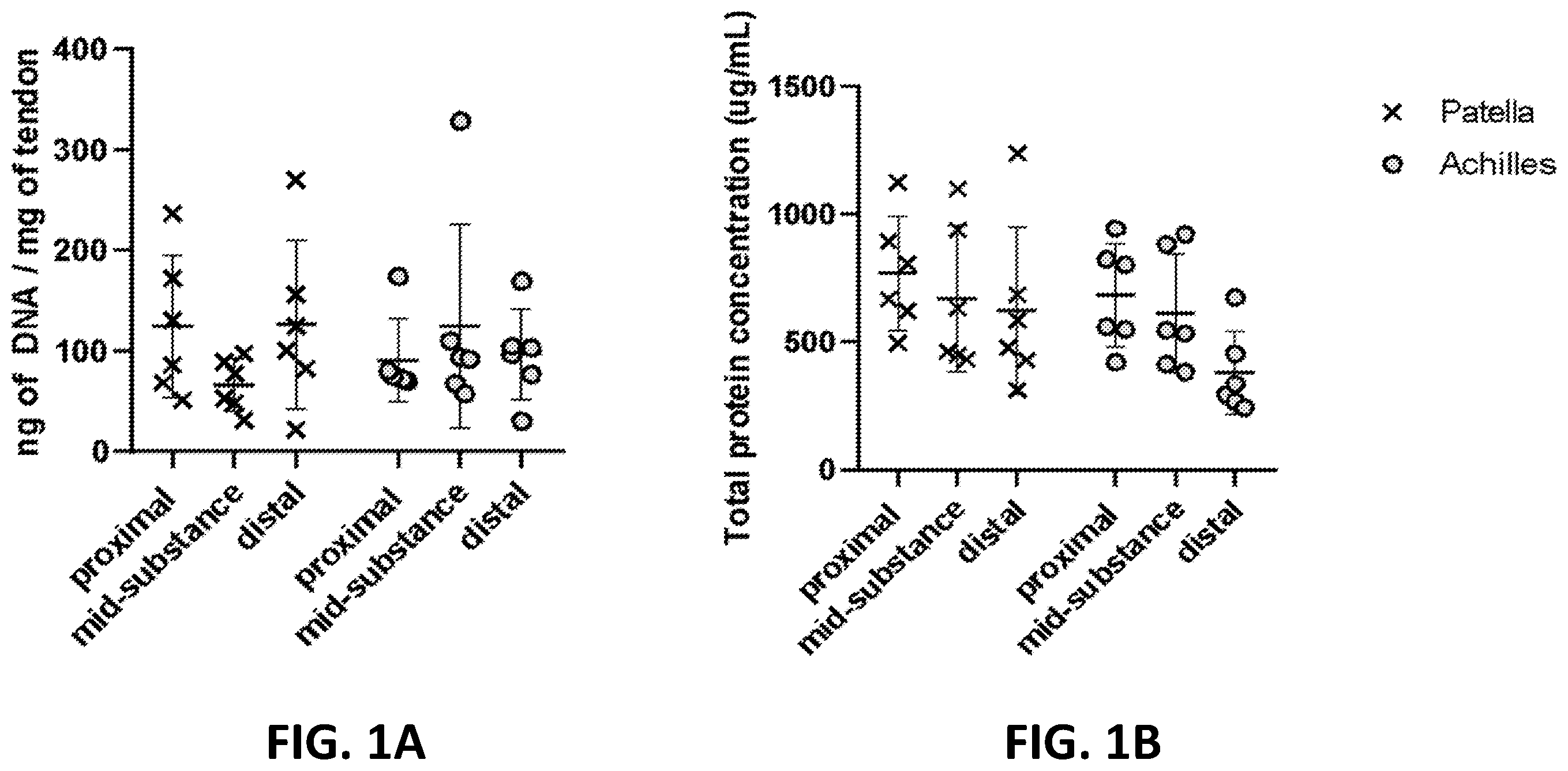 Patent US12569594 Figure 1 – Decellularized tendon matrix methods and uses thereof