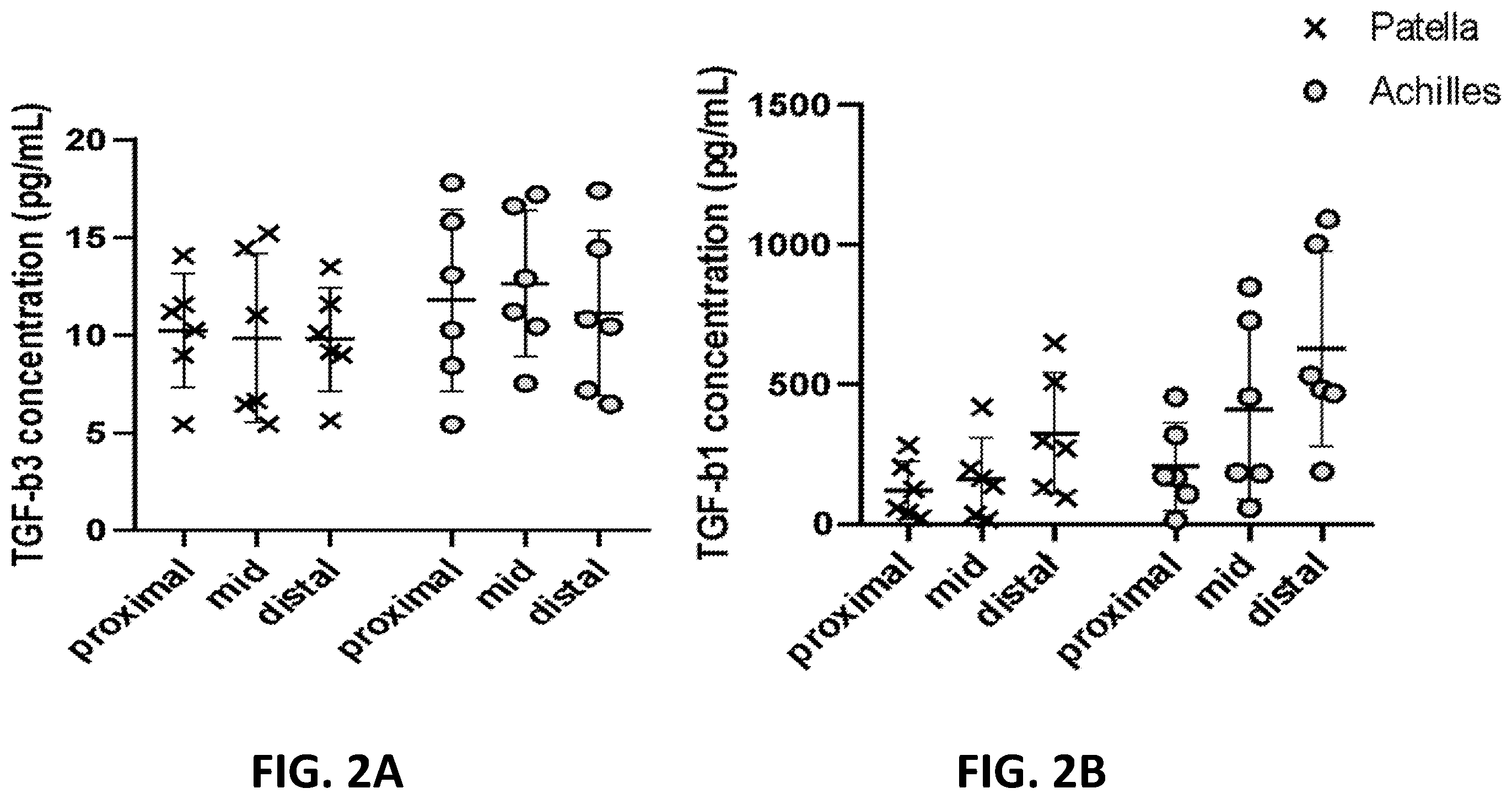 Patent US12569594 Figure 2 – Decellularized tendon matrix methods and uses thereof