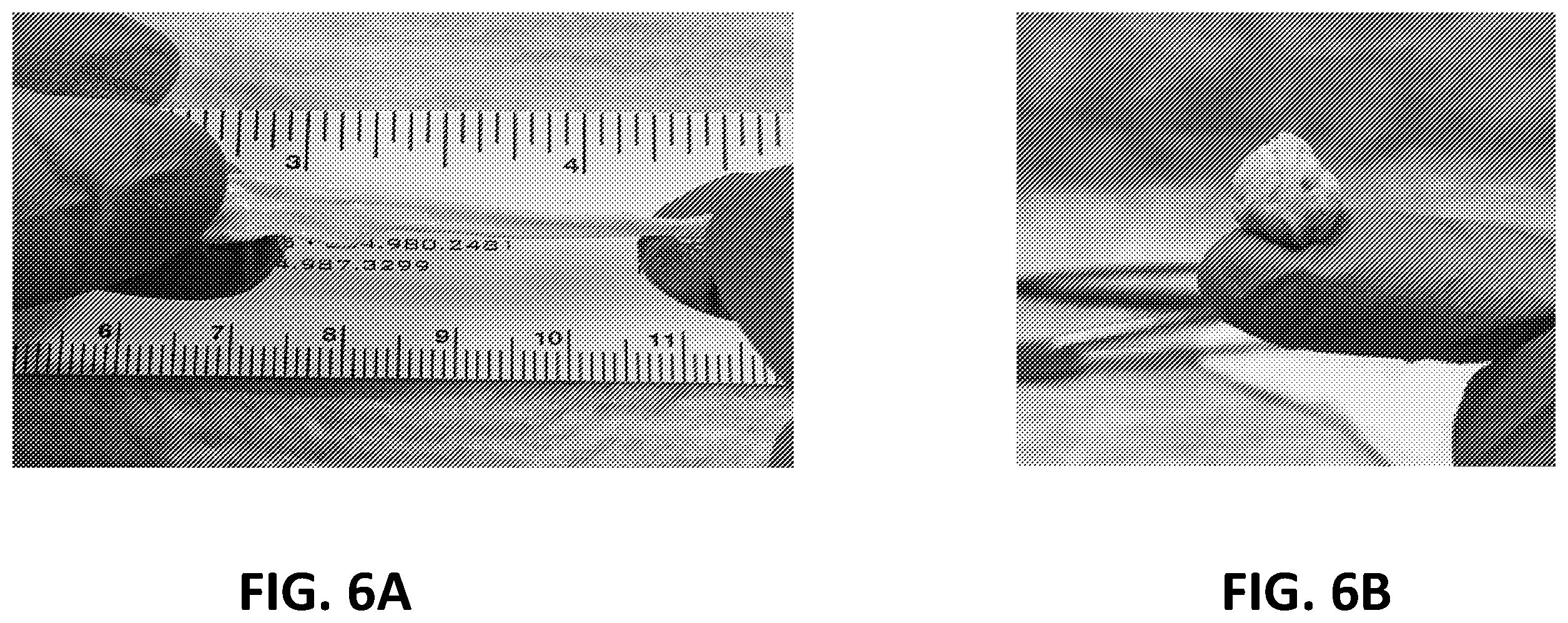 Patent US12569594 Figure 6 – Decellularized tendon matrix methods and uses thereof