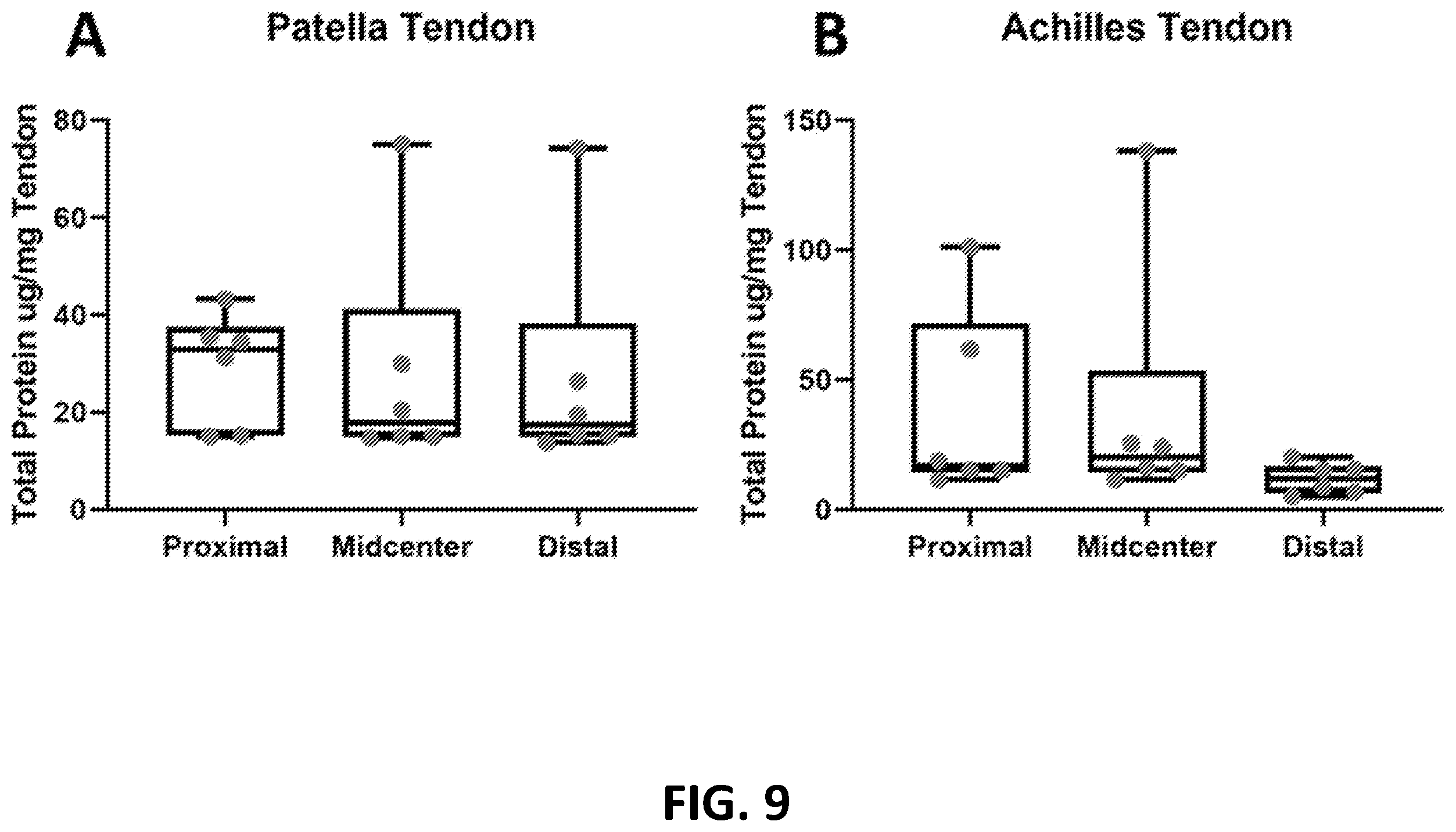 Patent US12569594 Figure 9 – Decellularized tendon matrix methods and uses thereof