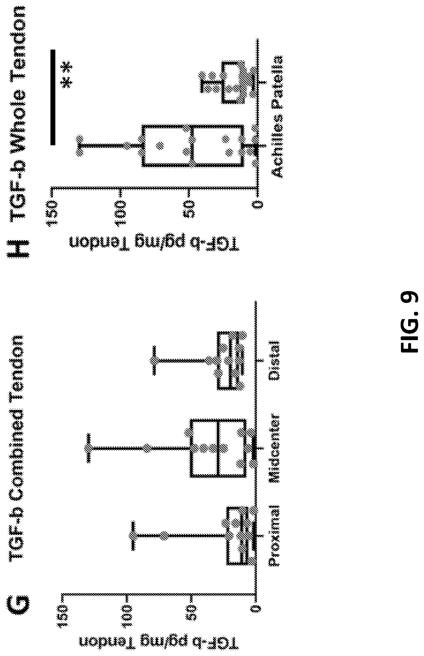 Patent US12569594 Figure 12 – Decellularized tendon matrix methods and uses thereof