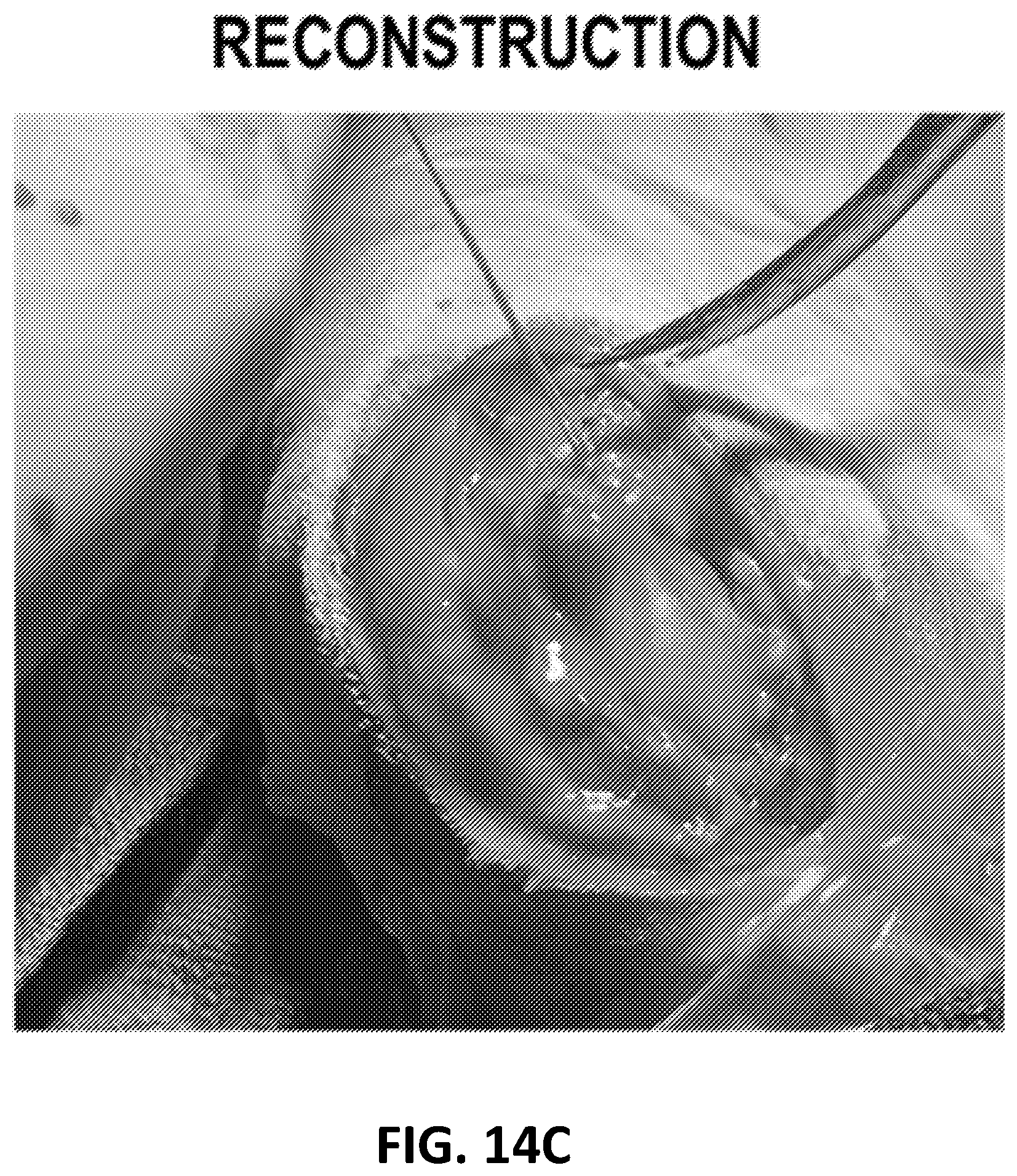 Patent US12569594 Figure 20 – Decellularized tendon matrix methods and uses thereof