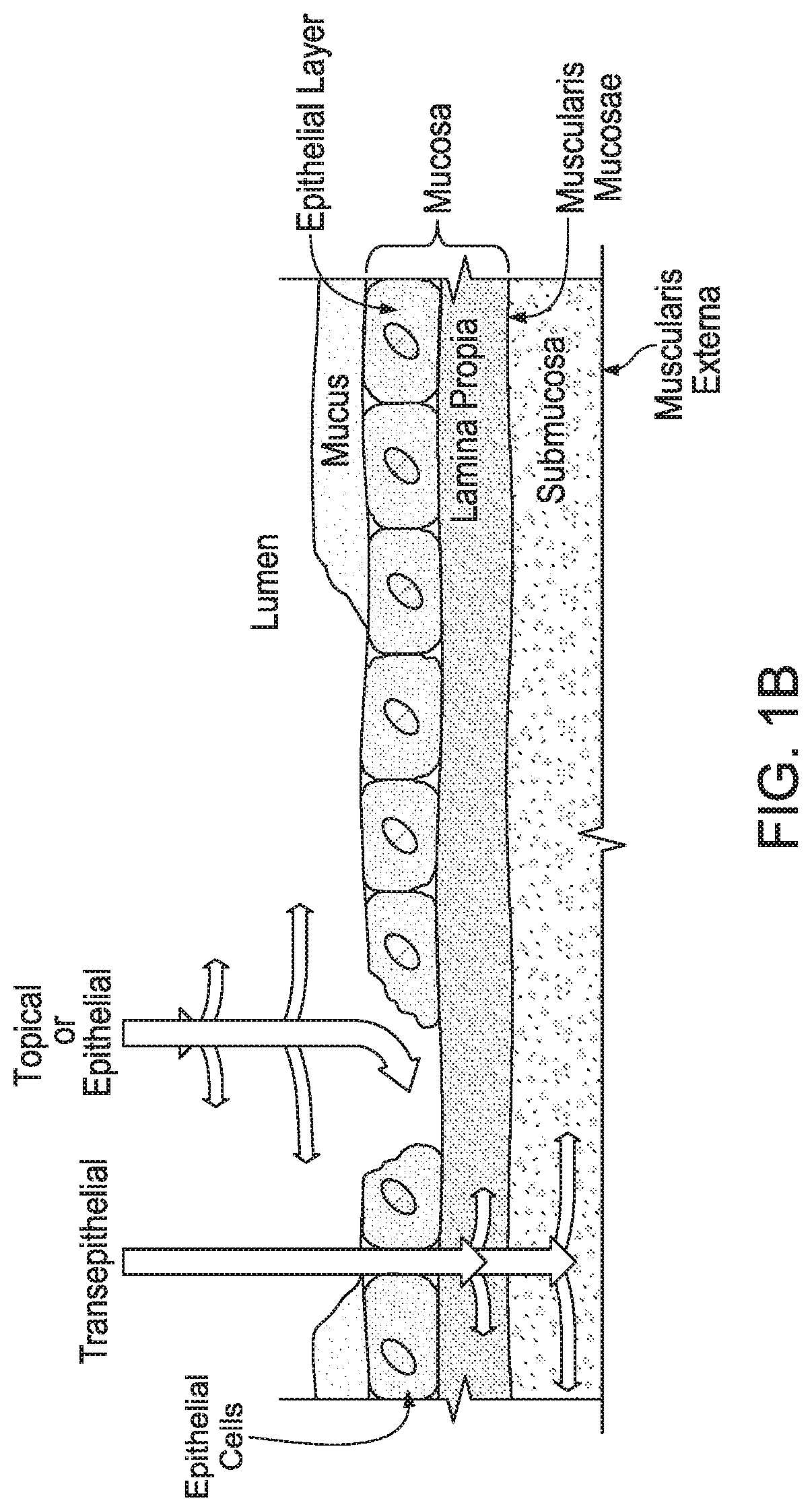 Patent US12569659 Figure 2 – Ingestible device for delivery of therapeutic agent to the gastrointestinal tract