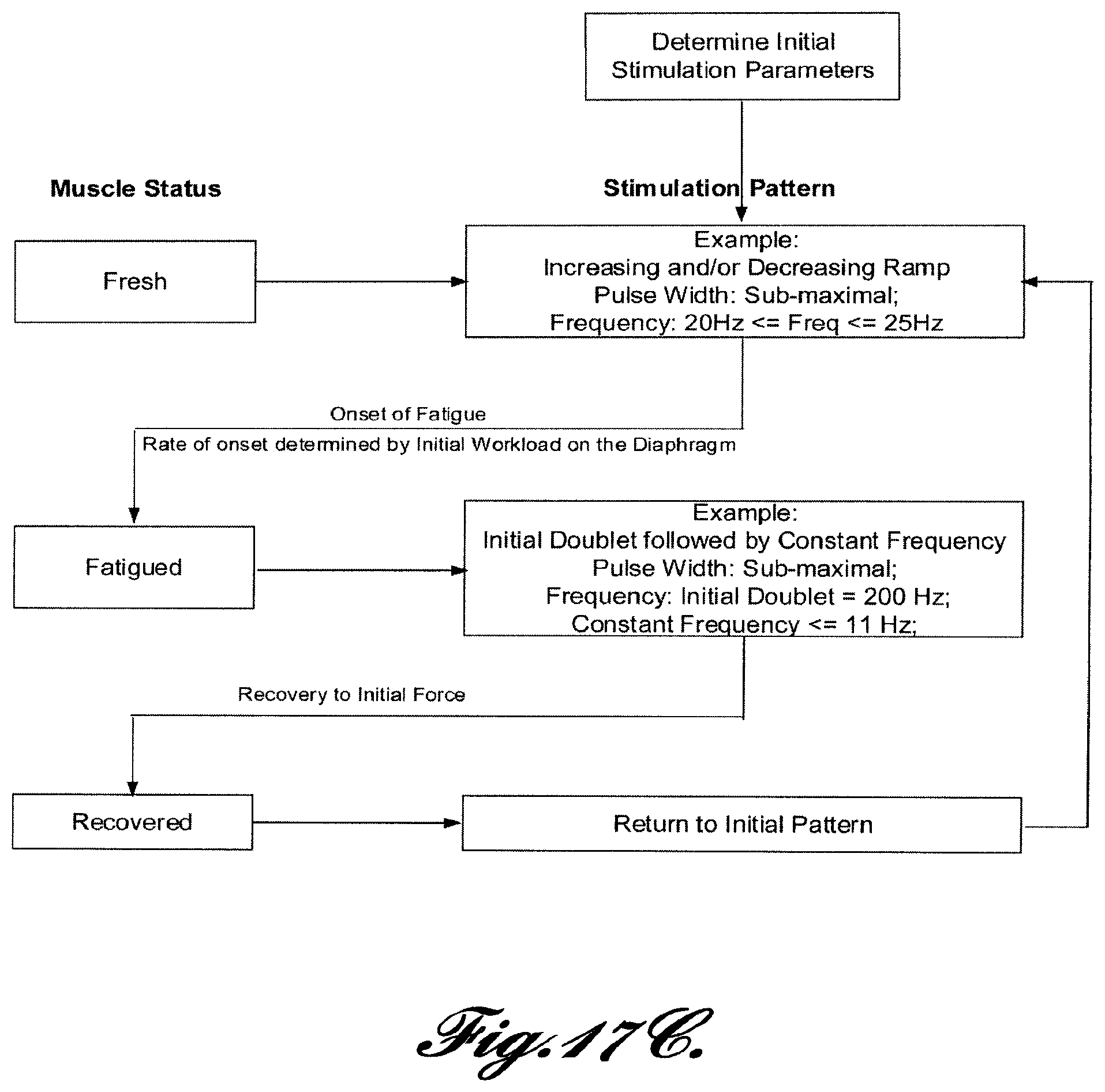 Patent US12569681 Figure 17 – Transvascular diaphragm pacing systems and methods of use