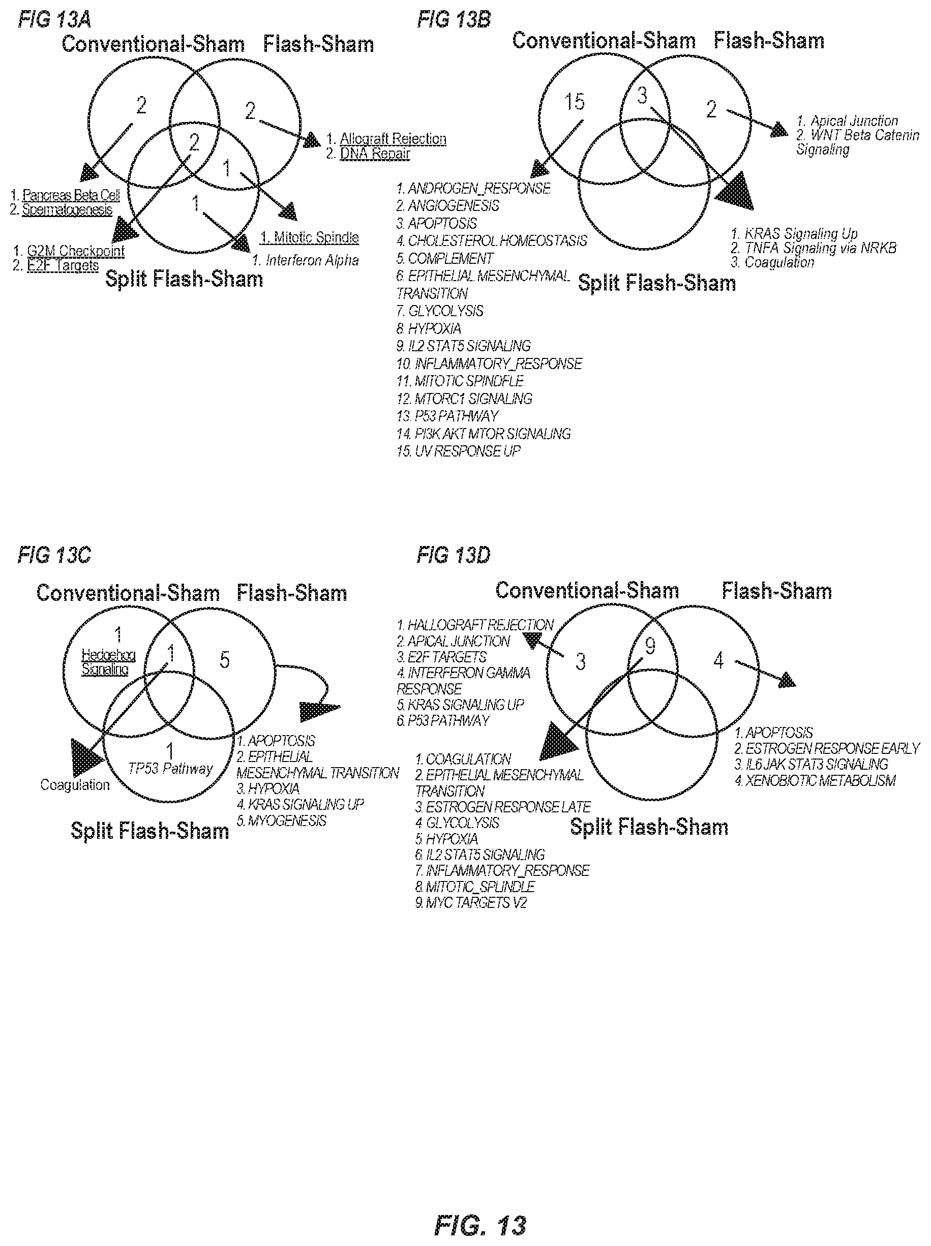 Patent US12569700 Figure 13 – Methods of use of ultra-high dose rate radiation and therapeutic agent
