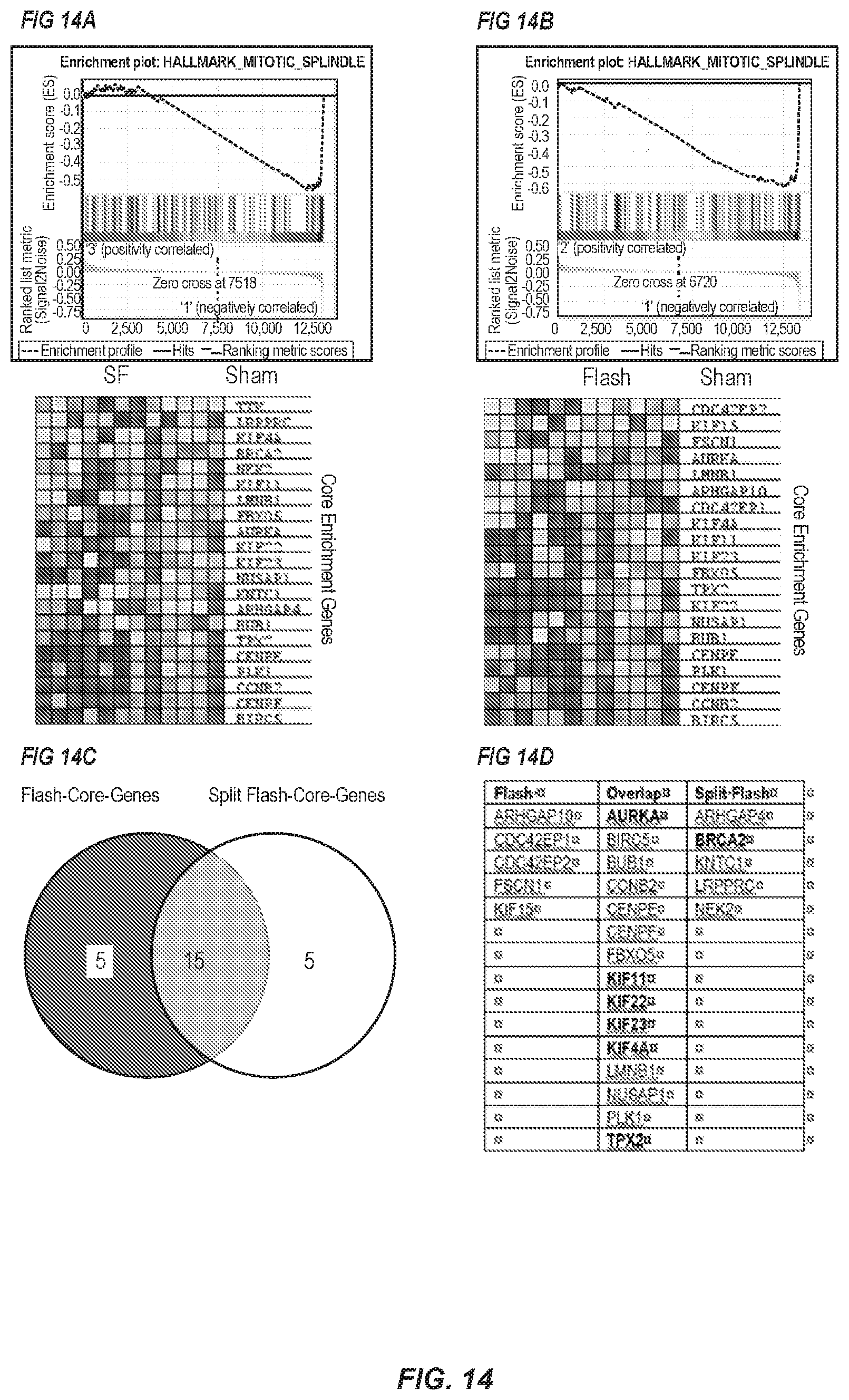 Patent US12569700 Figure 14 – Methods of use of ultra-high dose rate radiation and therapeutic agent