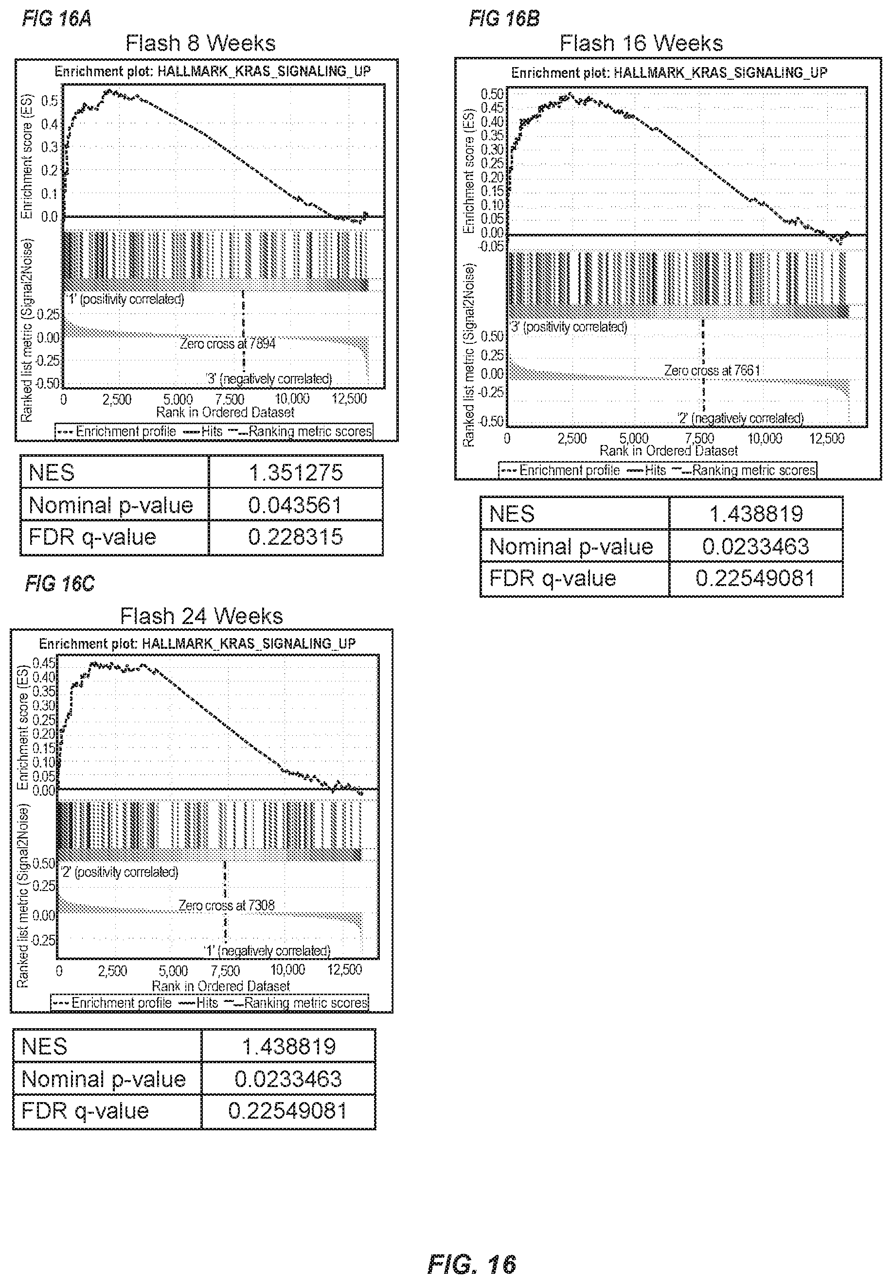 Patent US12569700 Figure 16 – Methods of use of ultra-high dose rate radiation and therapeutic agent