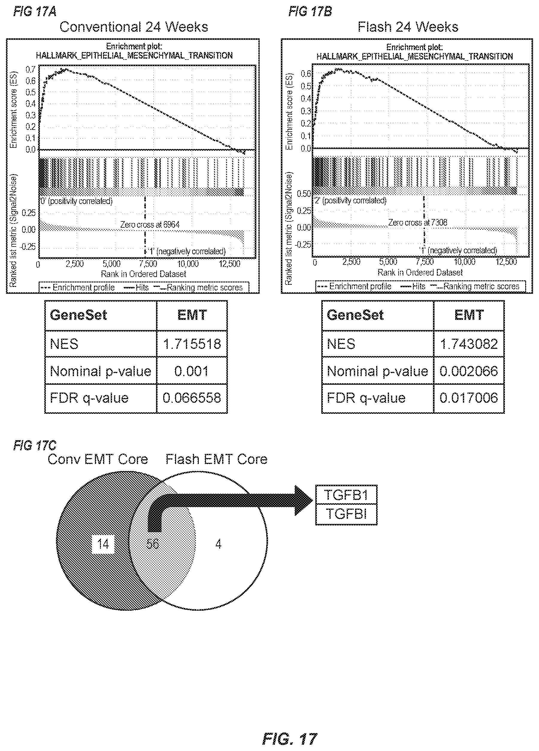 Patent US12569700 Figure 17 – Methods of use of ultra-high dose rate radiation and therapeutic agent