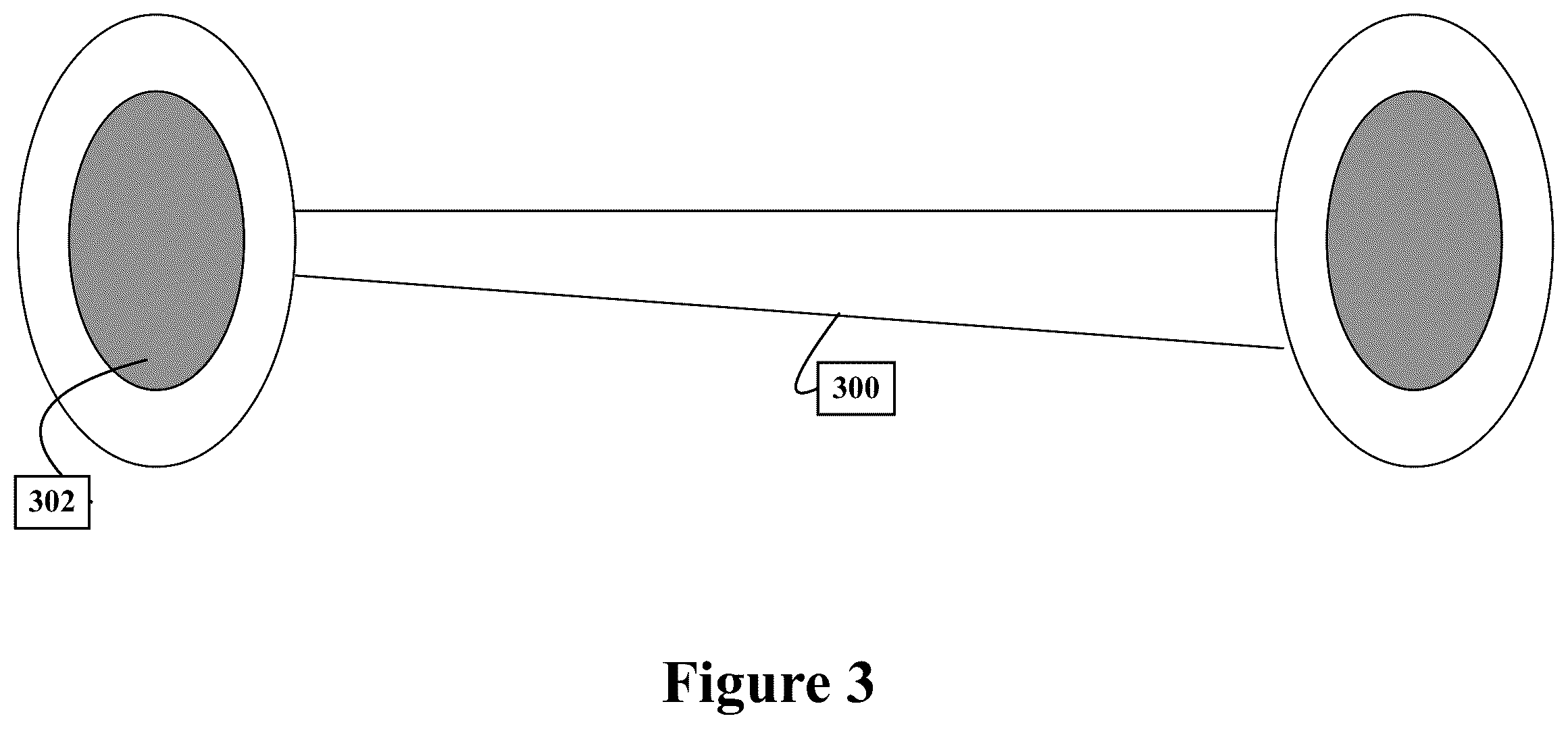 Patent US12569712 Figure 3 – Weight with incremental inserts
