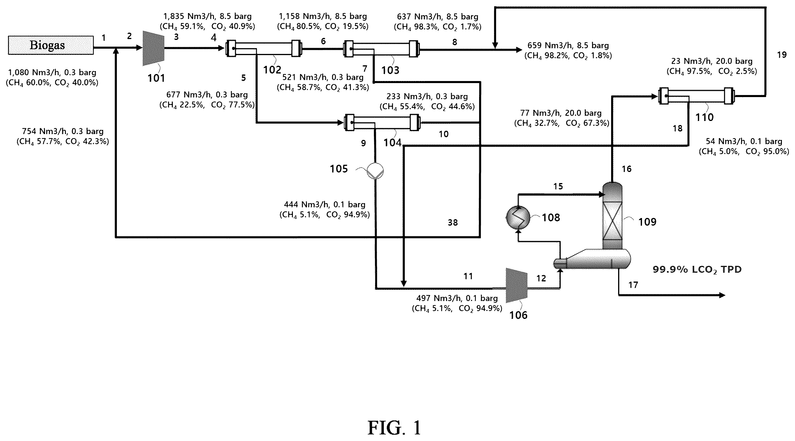 Patent US12569801 — Carbon dioxide capture apparatus and process combined with biogas upgrading — Figure 1