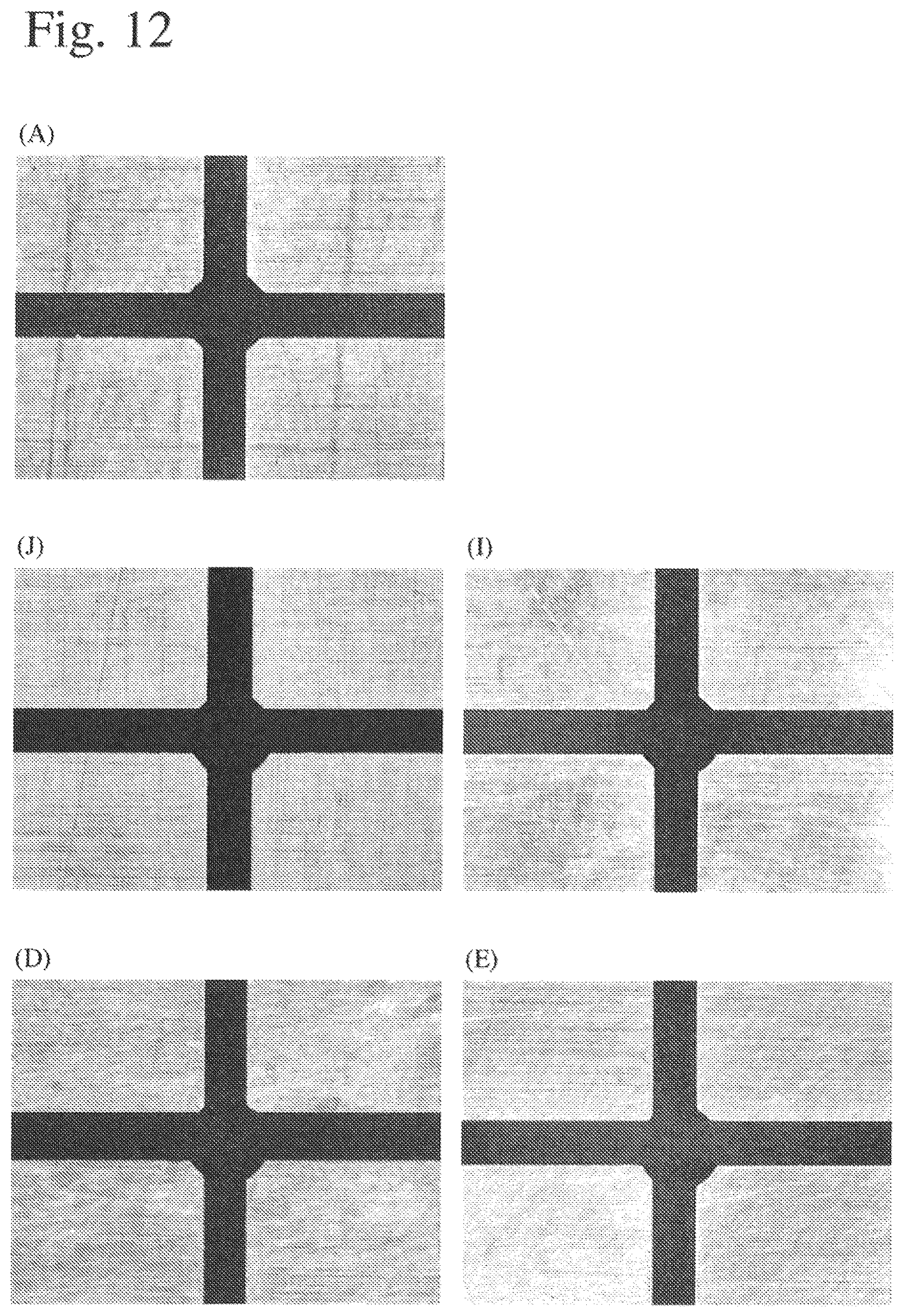 Patent US12569809 Figure 10 – Ceramic honeycomb structure and honeycomb-molding die