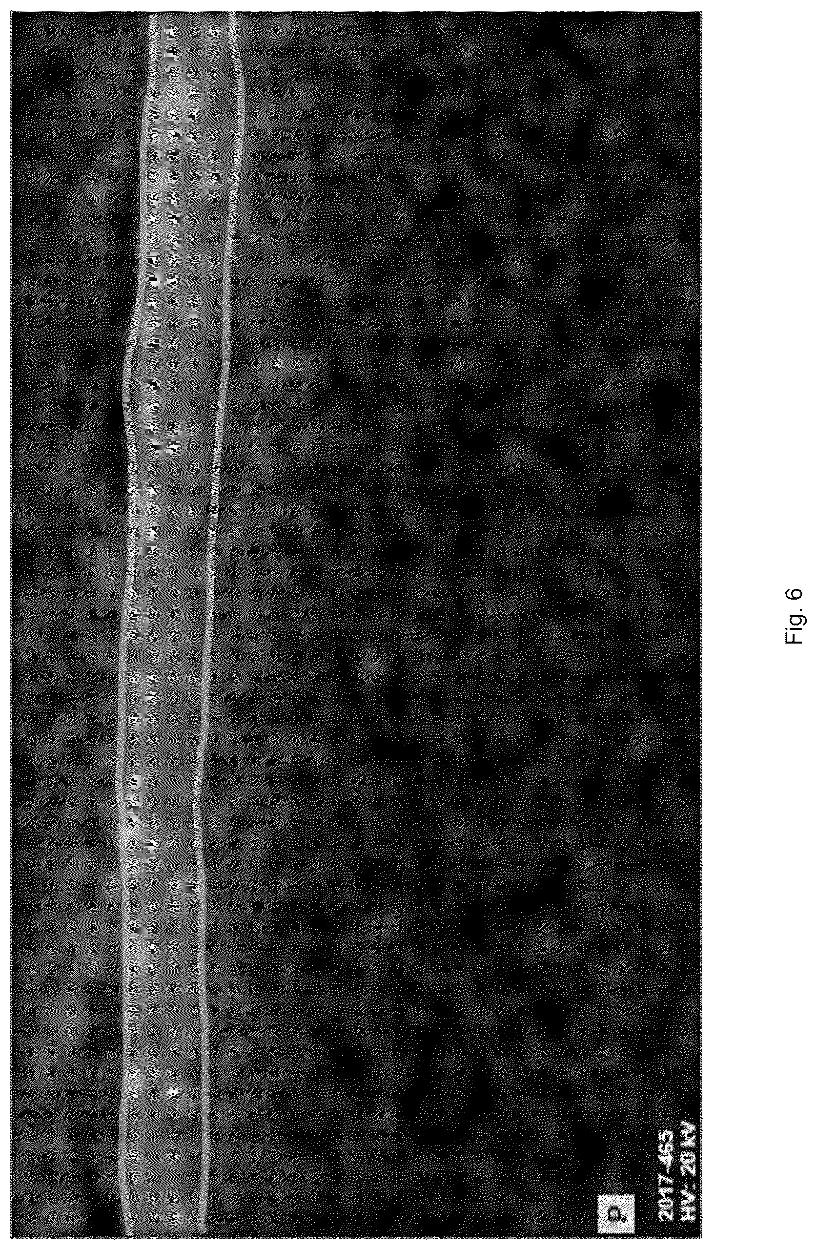 Patent US12569816 Figure 6 – Ceramic nanofiltration membrane with polymers grafted into the pores and method of producing same
