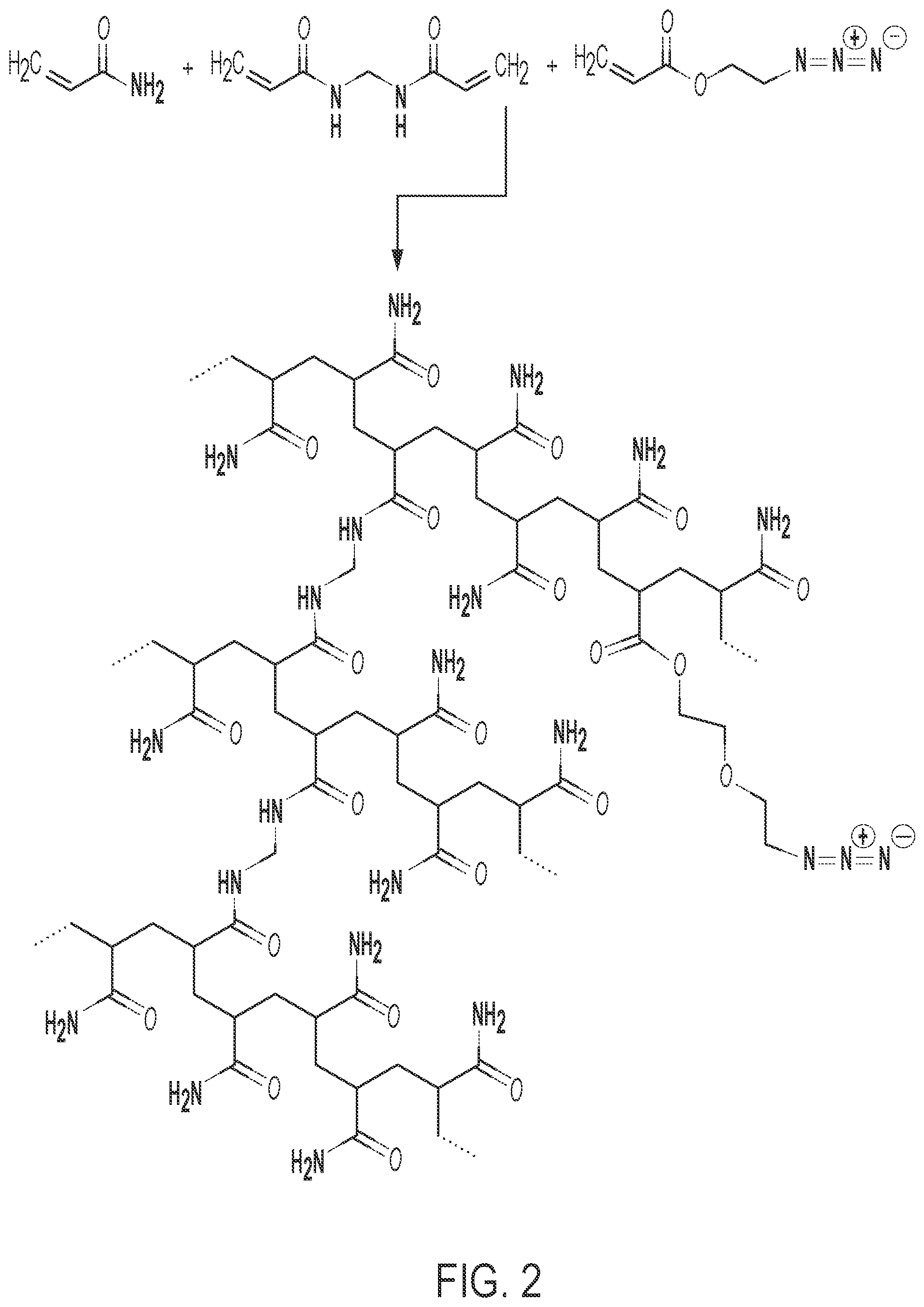 Patent US12569820 Figure 2 – Universal functionalized beads and method of making same