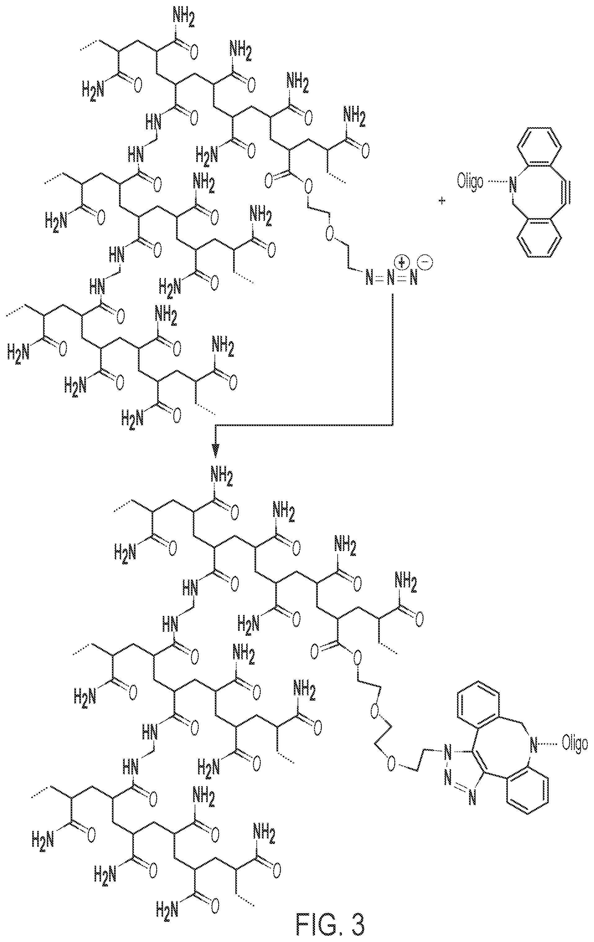 Patent US12569820 Figure 3 – Universal functionalized beads and method of making same