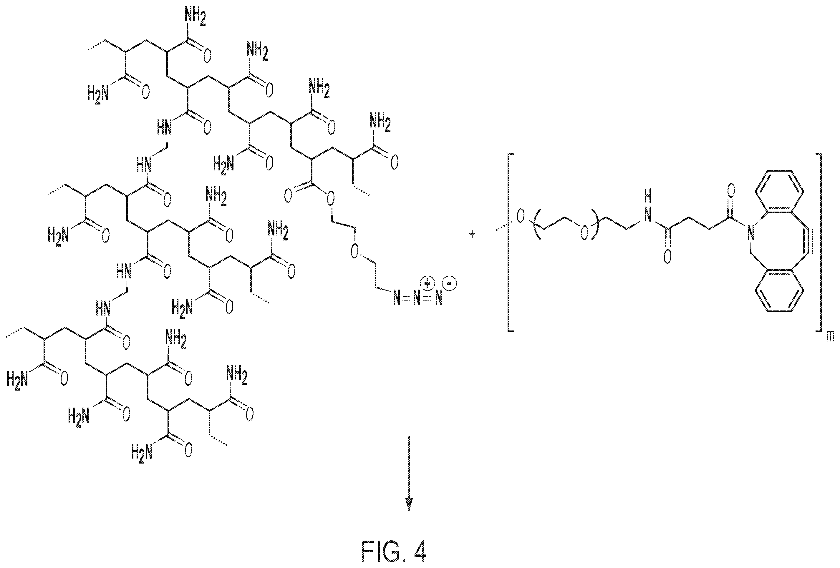 Patent US12569820 Figure 4 – Universal functionalized beads and method of making same