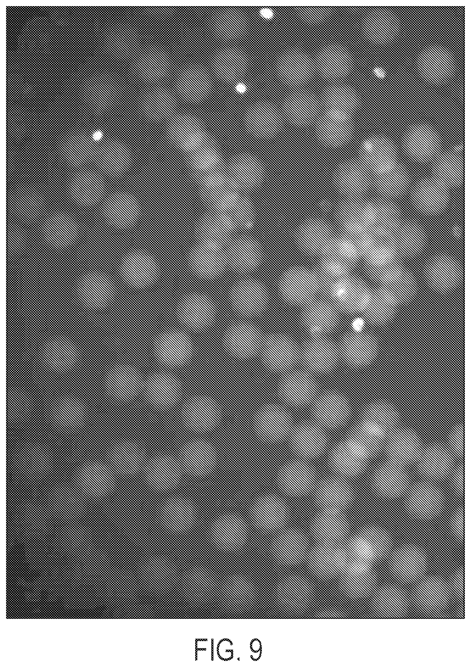 Patent US12569820 Figure 10 – Universal functionalized beads and method of making same