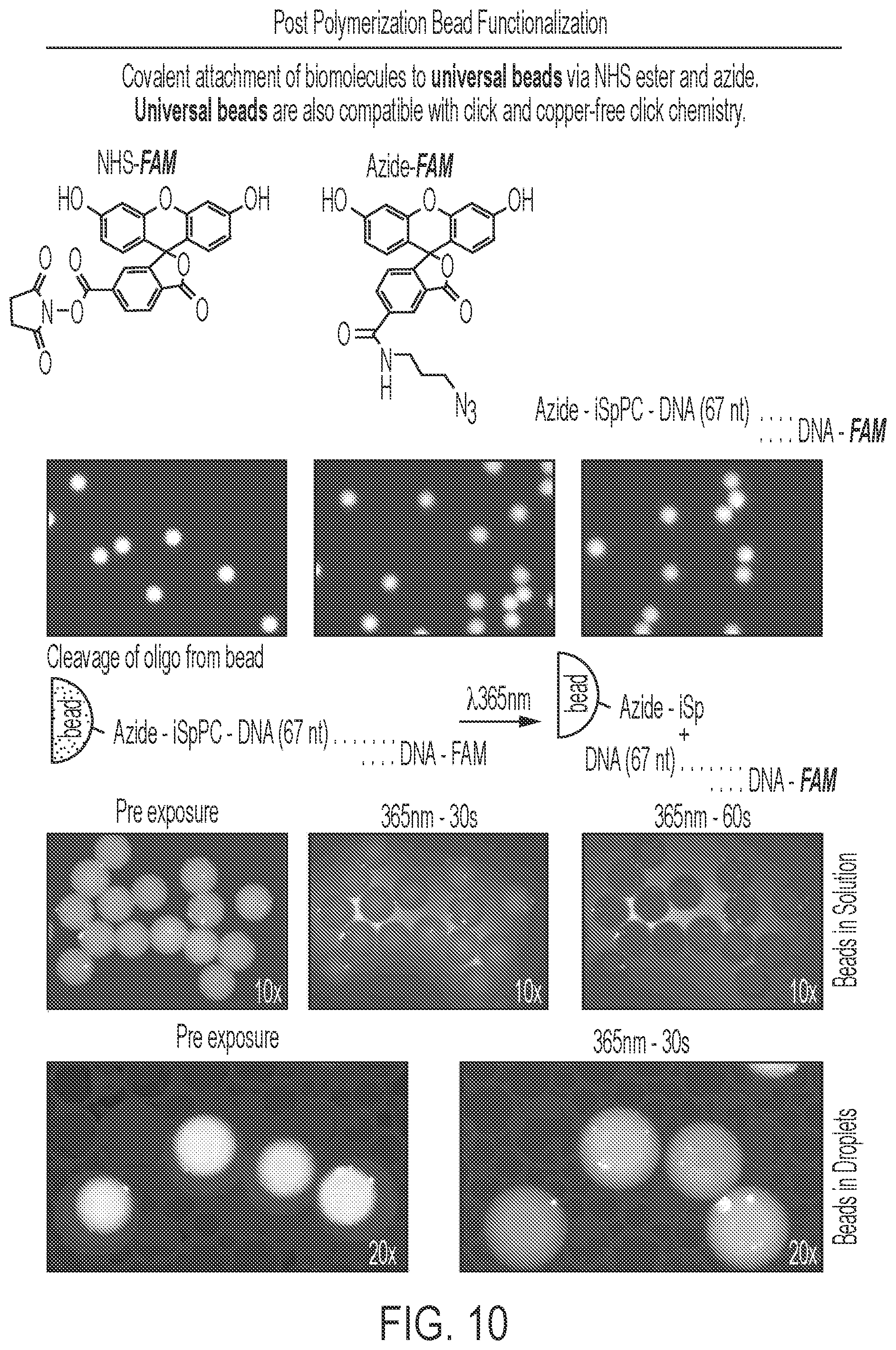 Patent US12569820 Figure 11 – Universal functionalized beads and method of making same