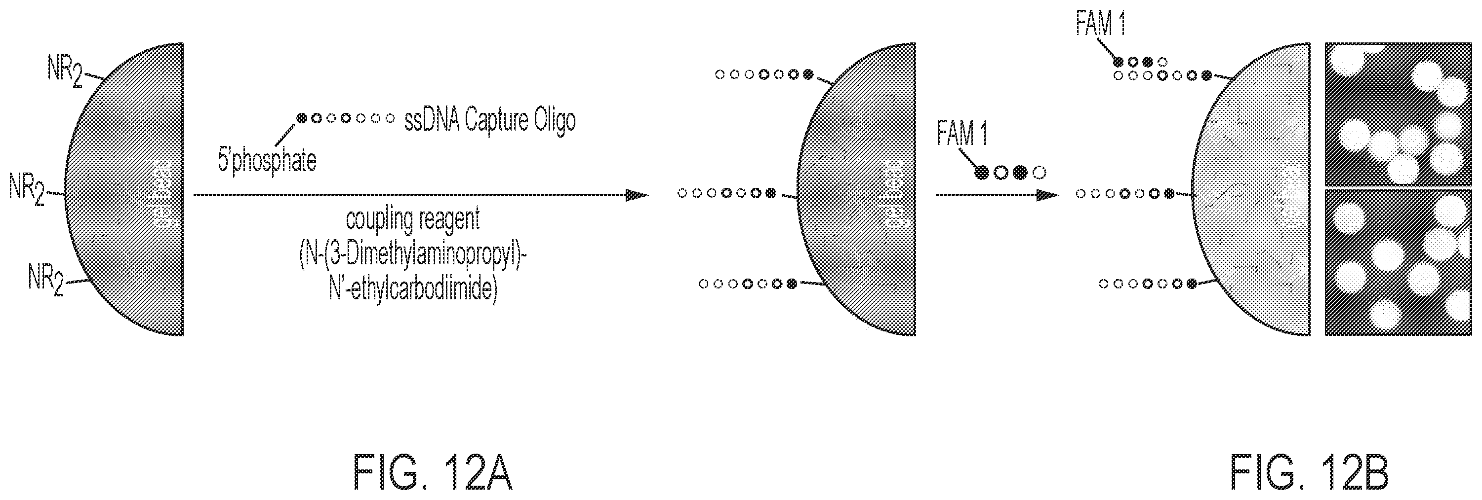 Patent US12569820 Figure 14 – Universal functionalized beads and method of making same