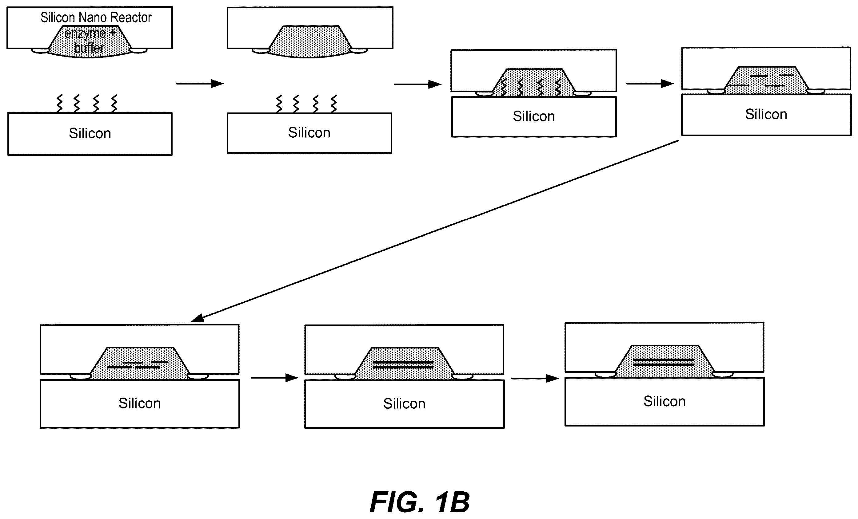 Patent US12569822 Figure 2 – De novo synthesized gene libraries