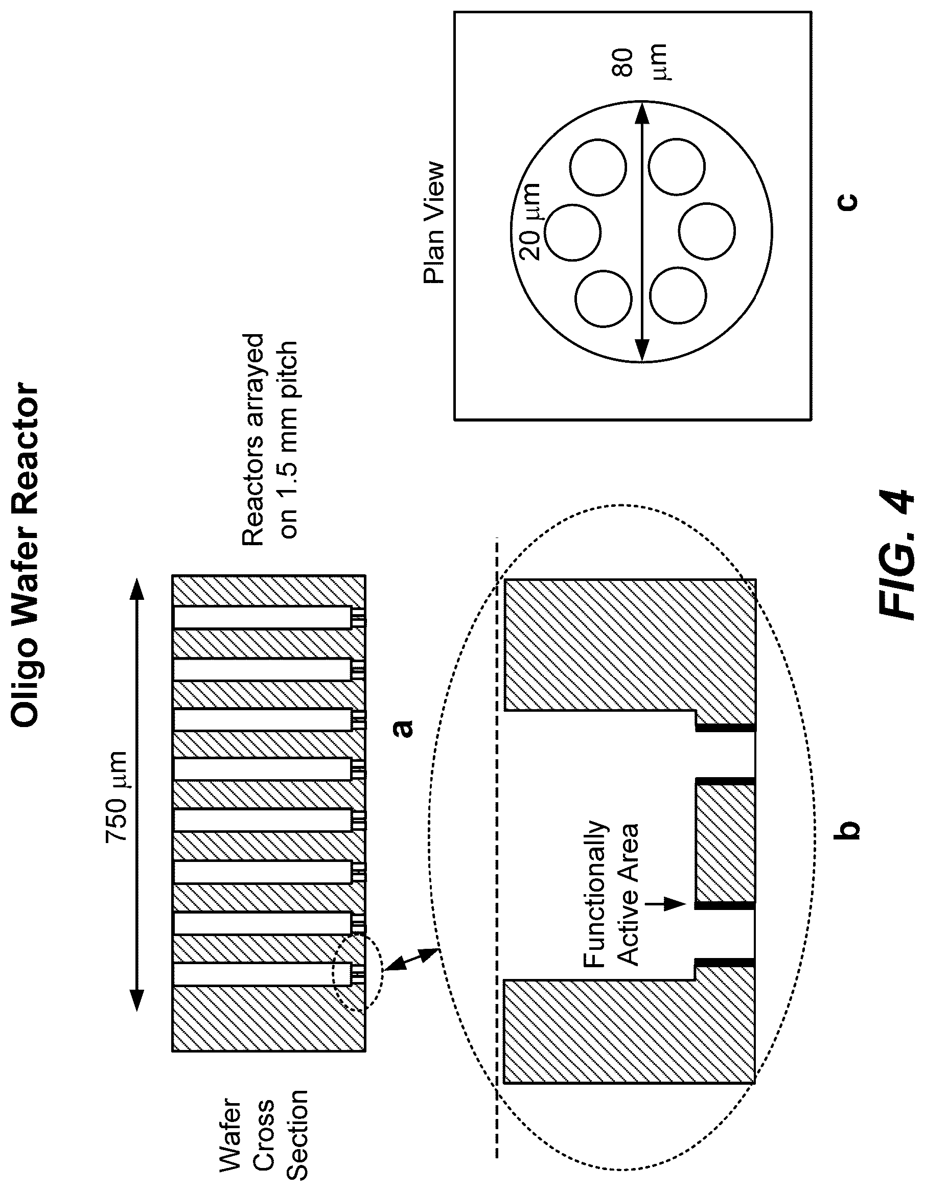 Patent US12569822 Figure 8 – De novo synthesized gene libraries