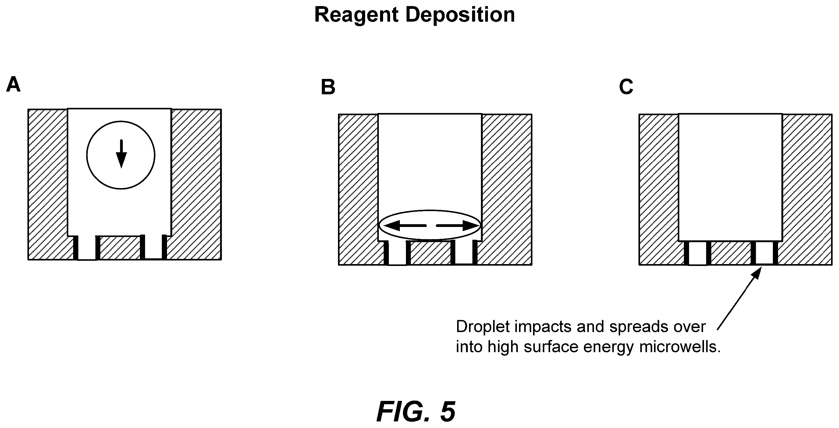 Patent US12569822 Figure 9 – De novo synthesized gene libraries
