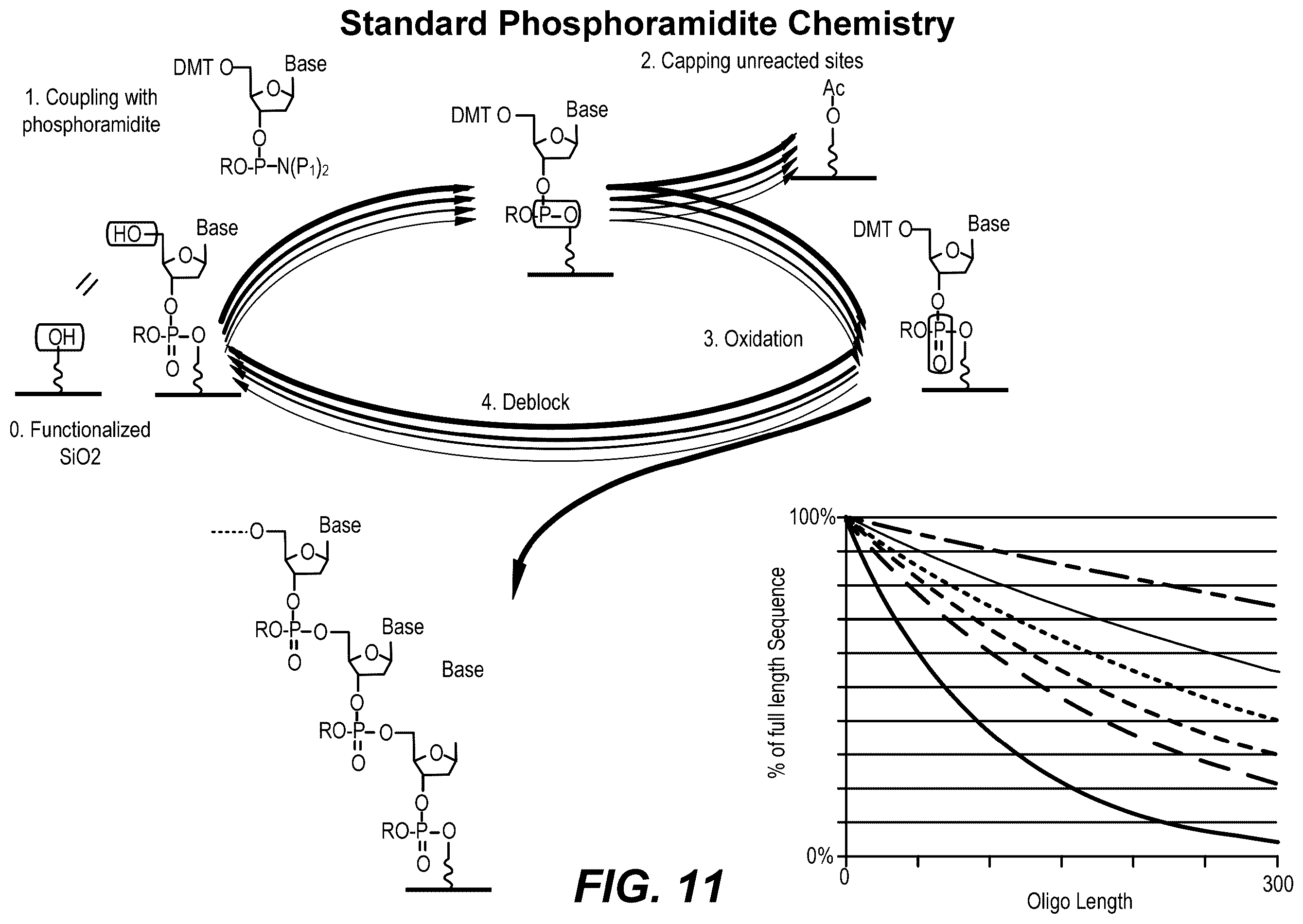 Patent US12569822 Figure 17 – De novo synthesized gene libraries