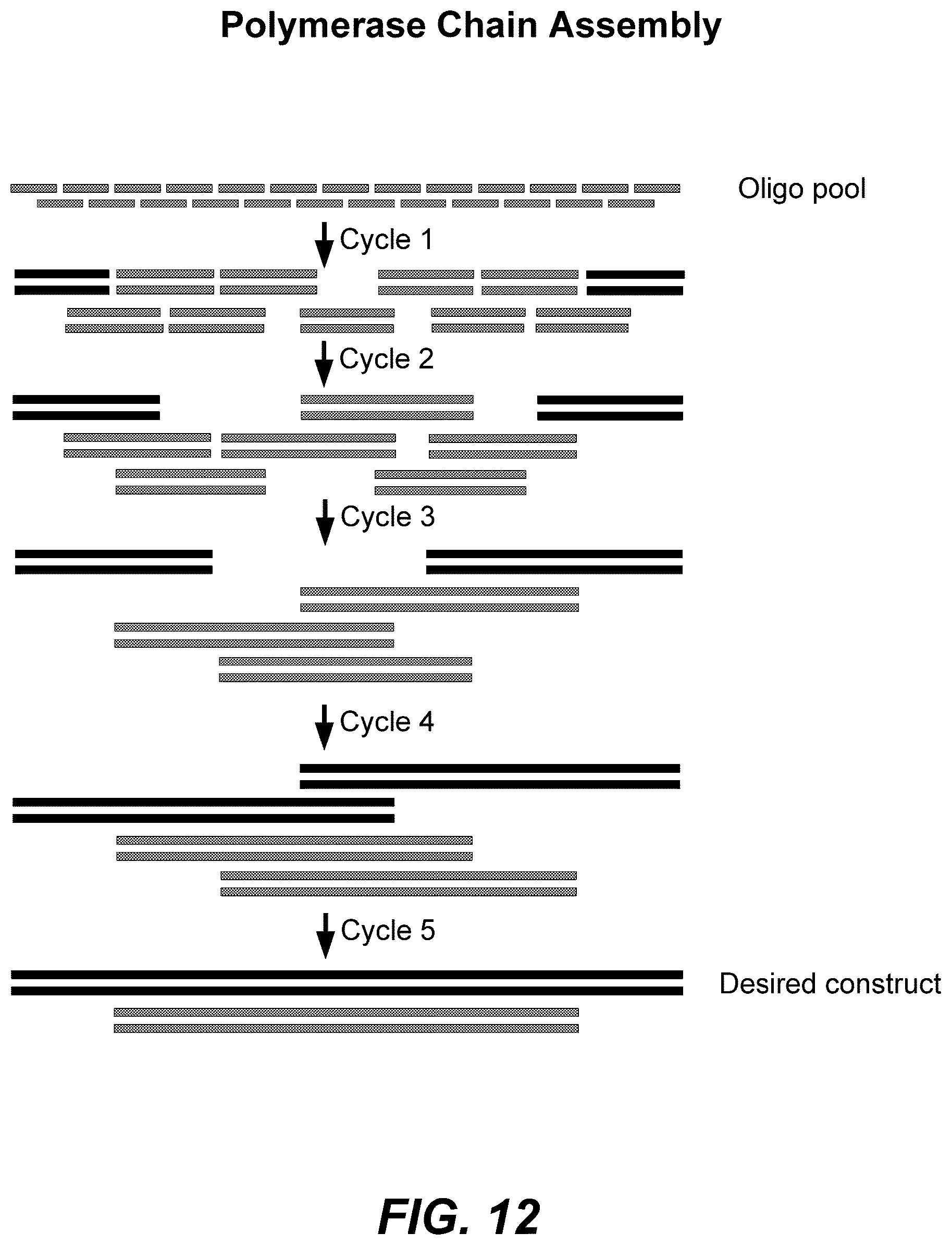 Patent US12569822 Figure 18 – De novo synthesized gene libraries