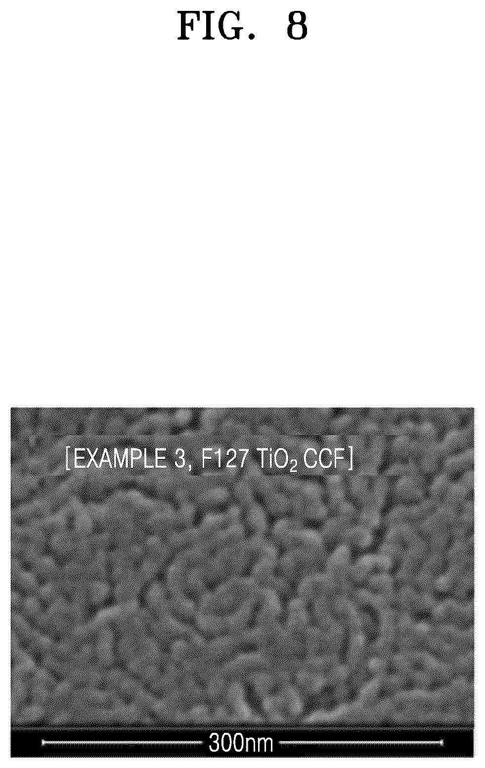 Patent US12569830 Figure 8 – Ceramic catalytic filter, filtering system including the same, and manufacturing method thereof