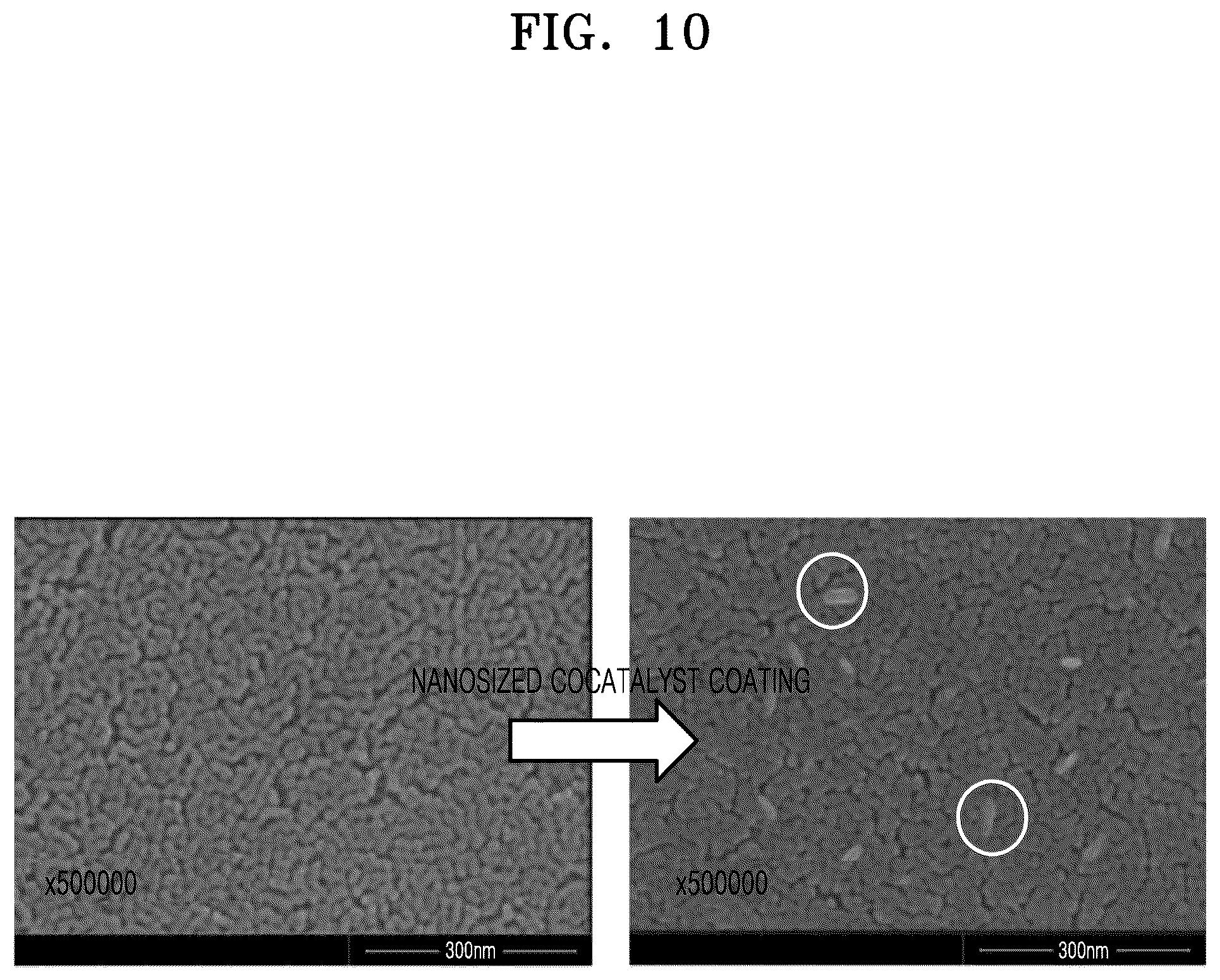 Patent US12569830 Figure 10 – Ceramic catalytic filter, filtering system including the same, and manufacturing method thereof