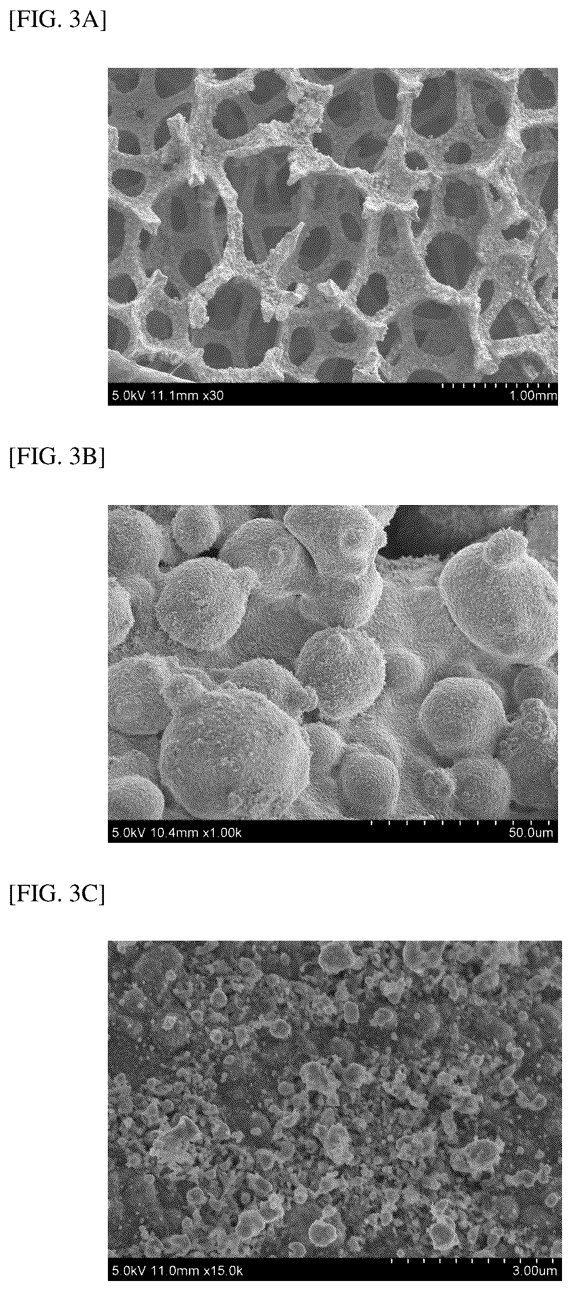 Patent US12569831 Figure 3 – Methane-reforming catalyst and method for producing same