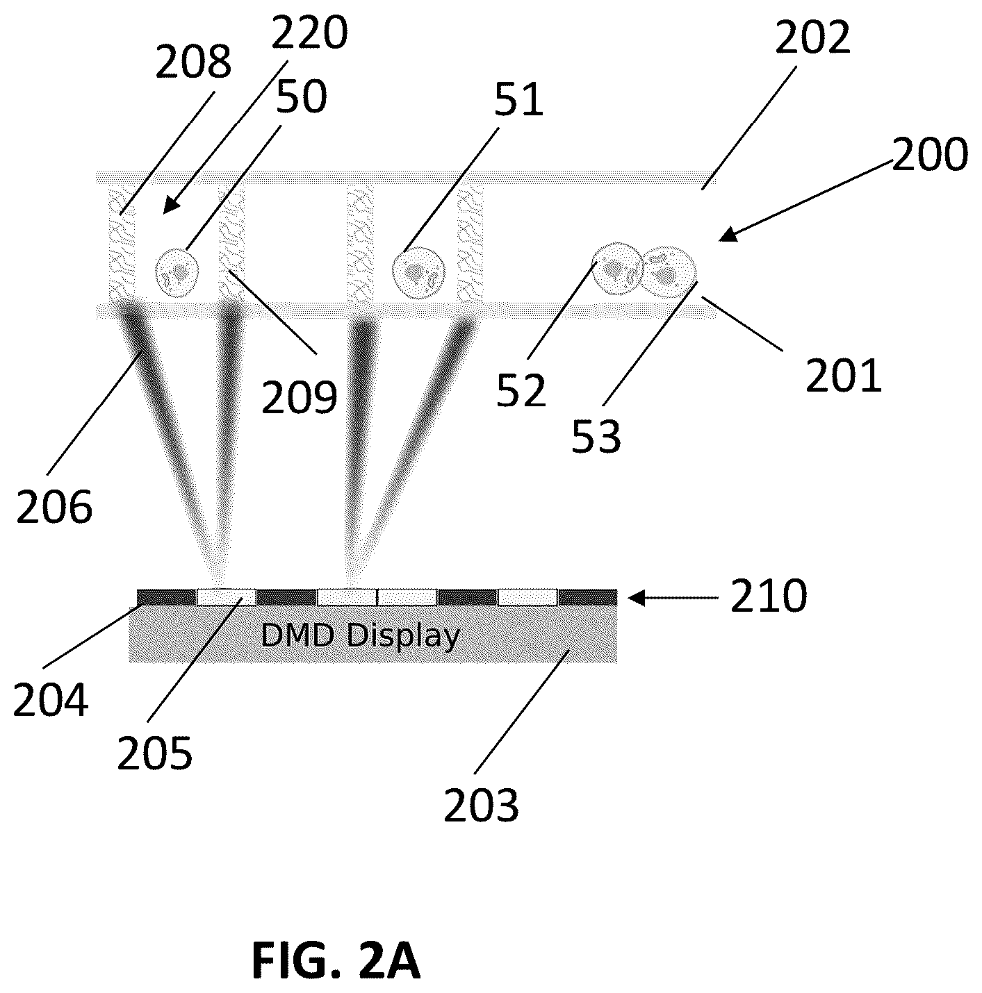 Patent US12569847 Figure 2 – Methods for detecting intercellular interactions of cells in a compartment of a fluidic device