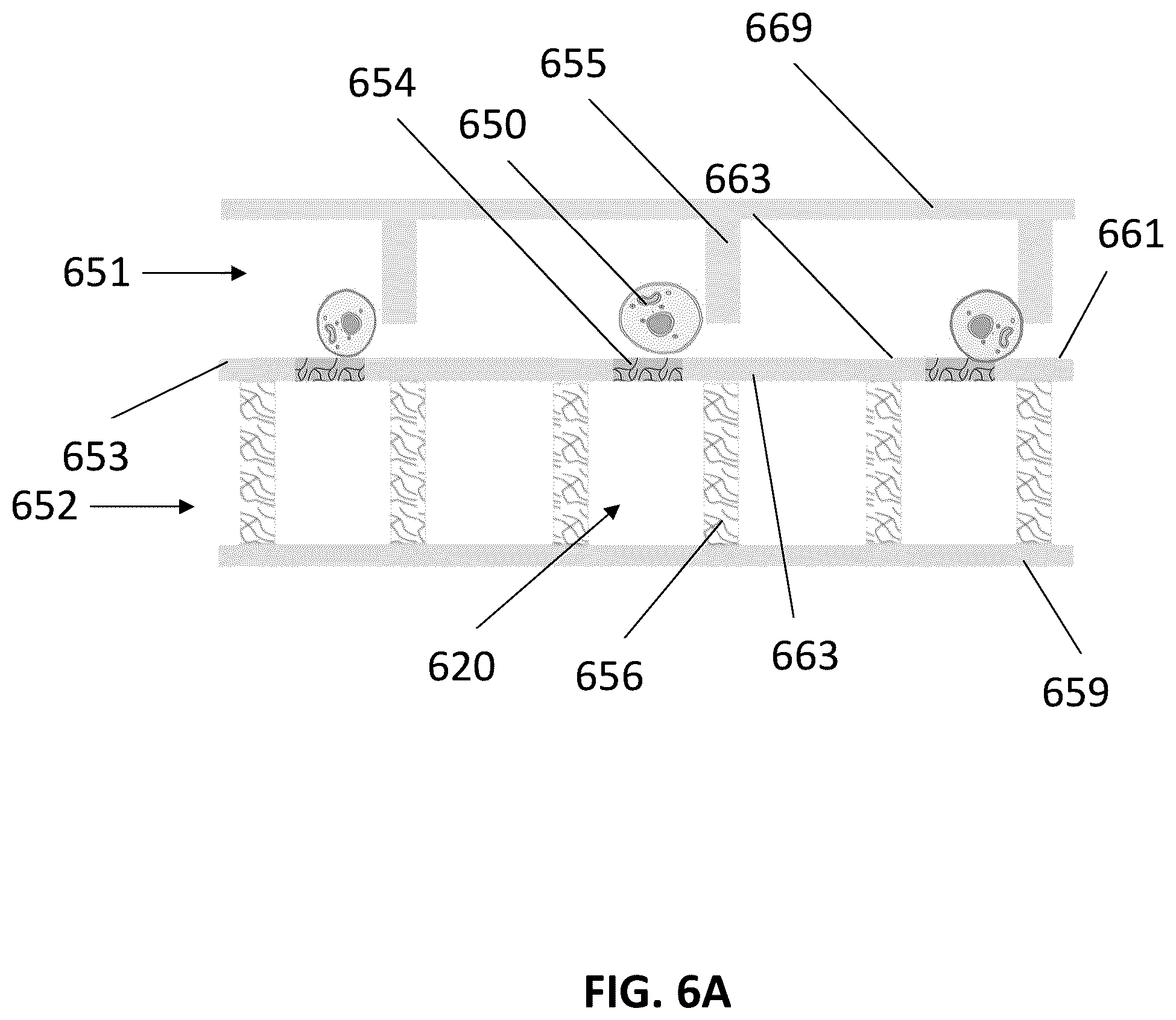 Patent US12569847 Figure 10 – Methods for detecting intercellular interactions of cells in a compartment of a fluidic device
