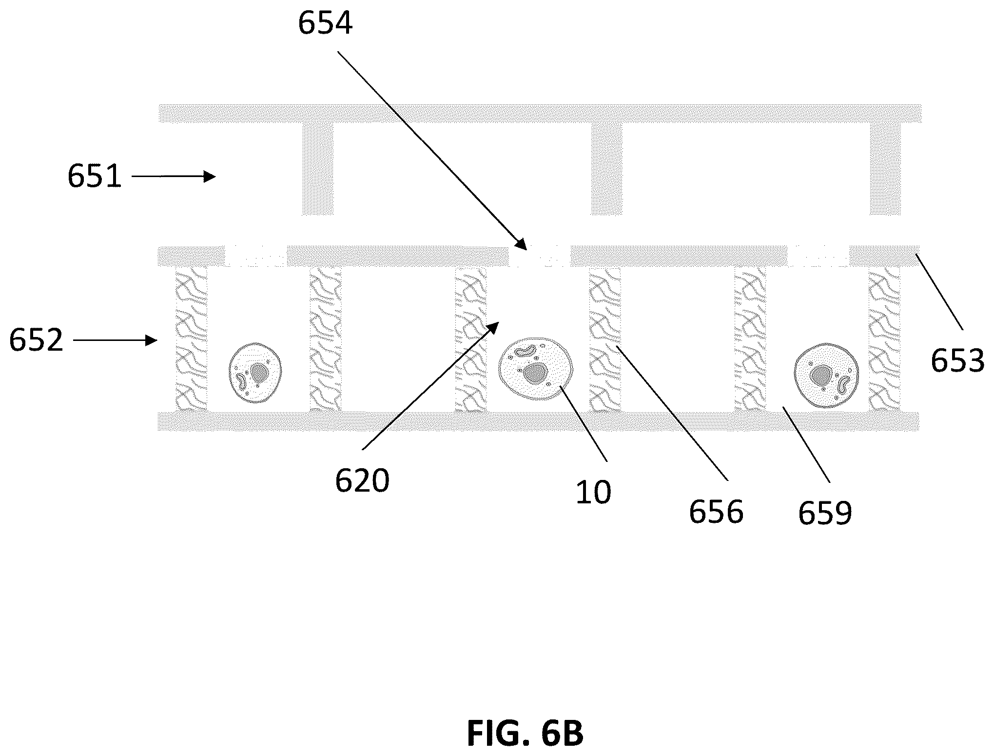 Patent US12569847 Figure 11 – Methods for detecting intercellular interactions of cells in a compartment of a fluidic device