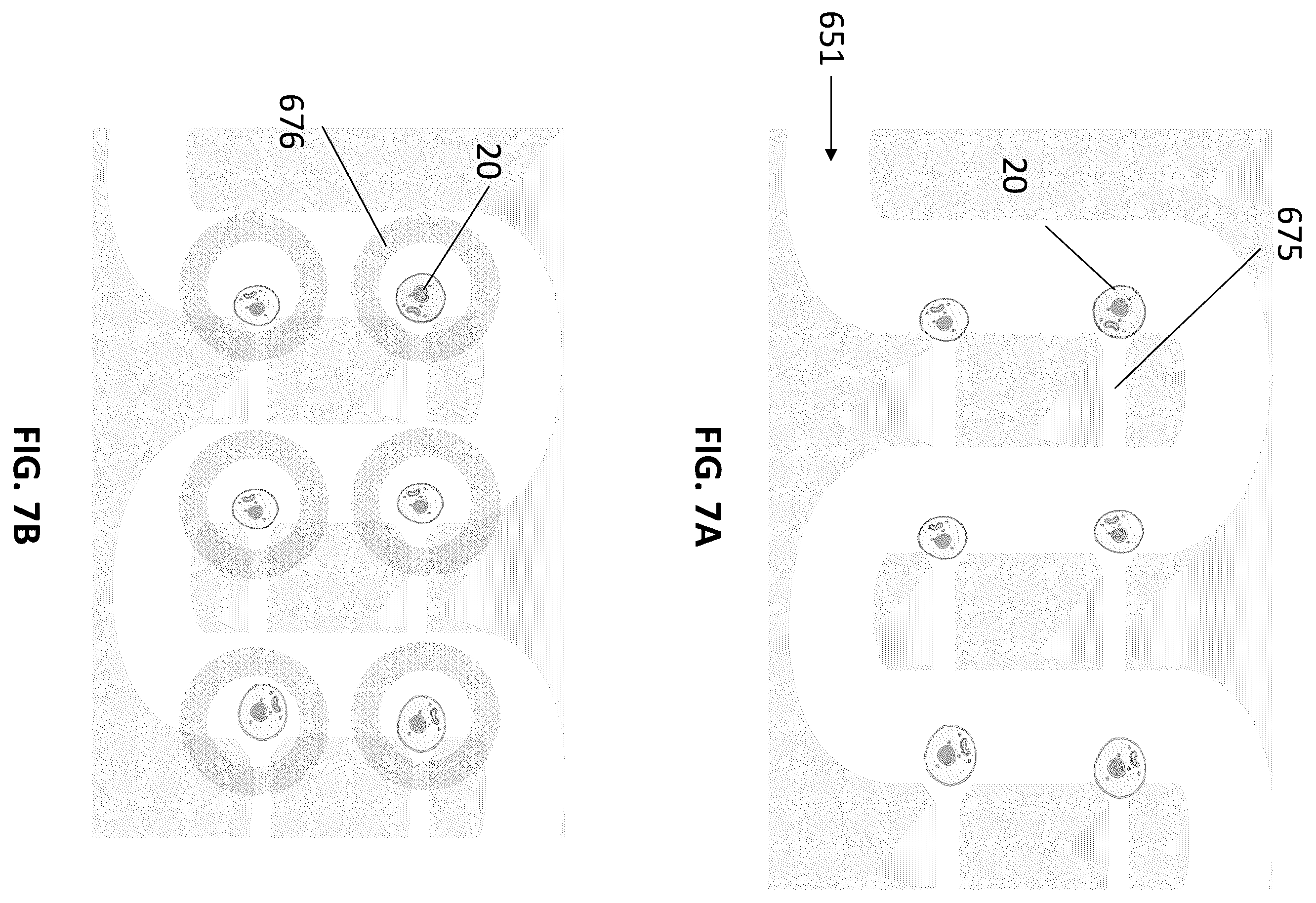 Patent US12569847 Figure 12 – Methods for detecting intercellular interactions of cells in a compartment of a fluidic device