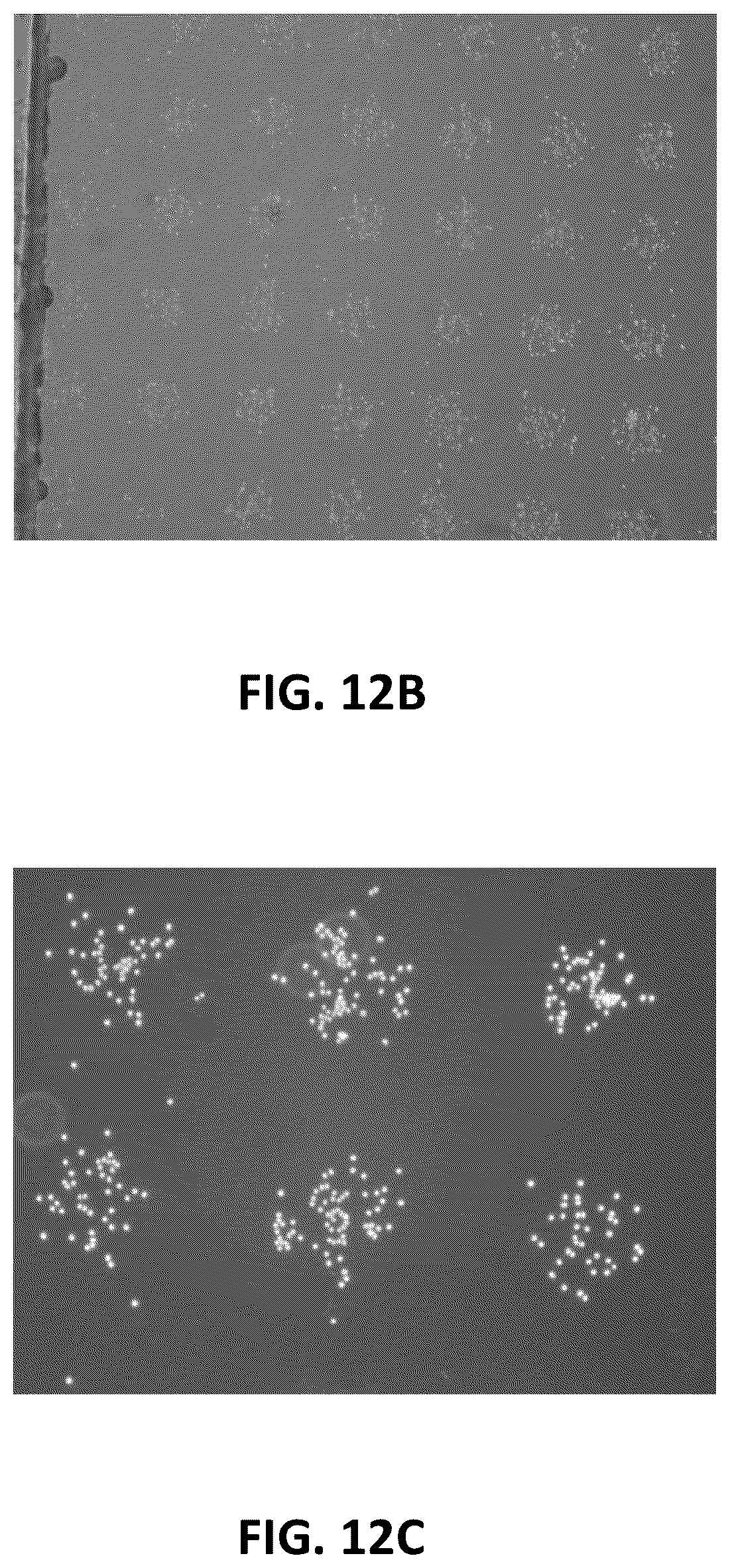 Patent US12569847 Figure 19 – Methods for detecting intercellular interactions of cells in a compartment of a fluidic device