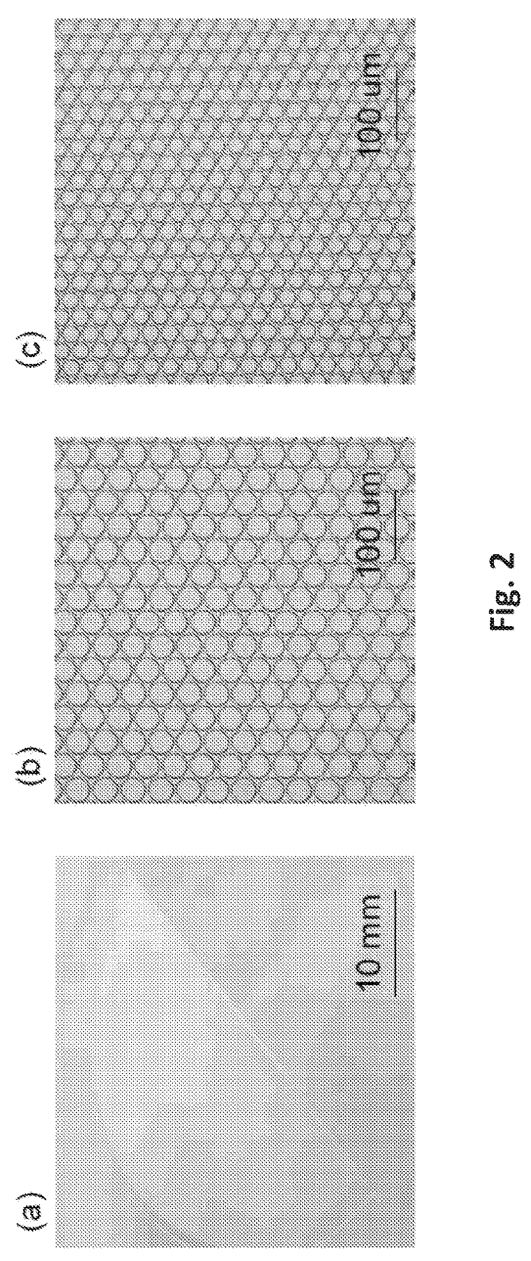 Patent US12569851 Figure 2 – Digital assay