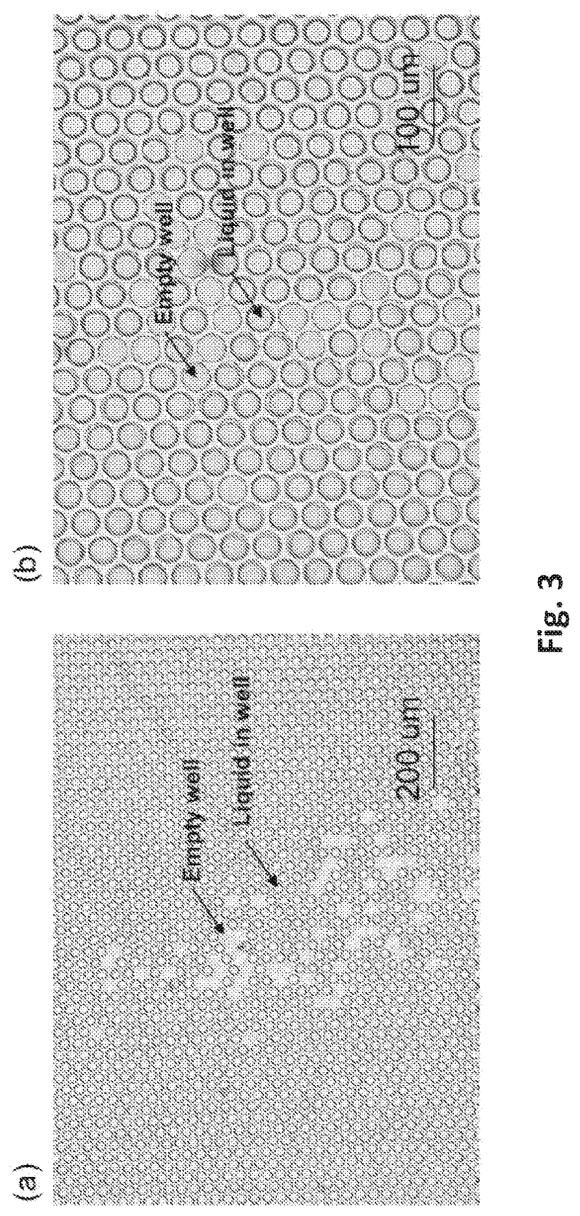 Patent US12569851 Figure 3 – Digital assay