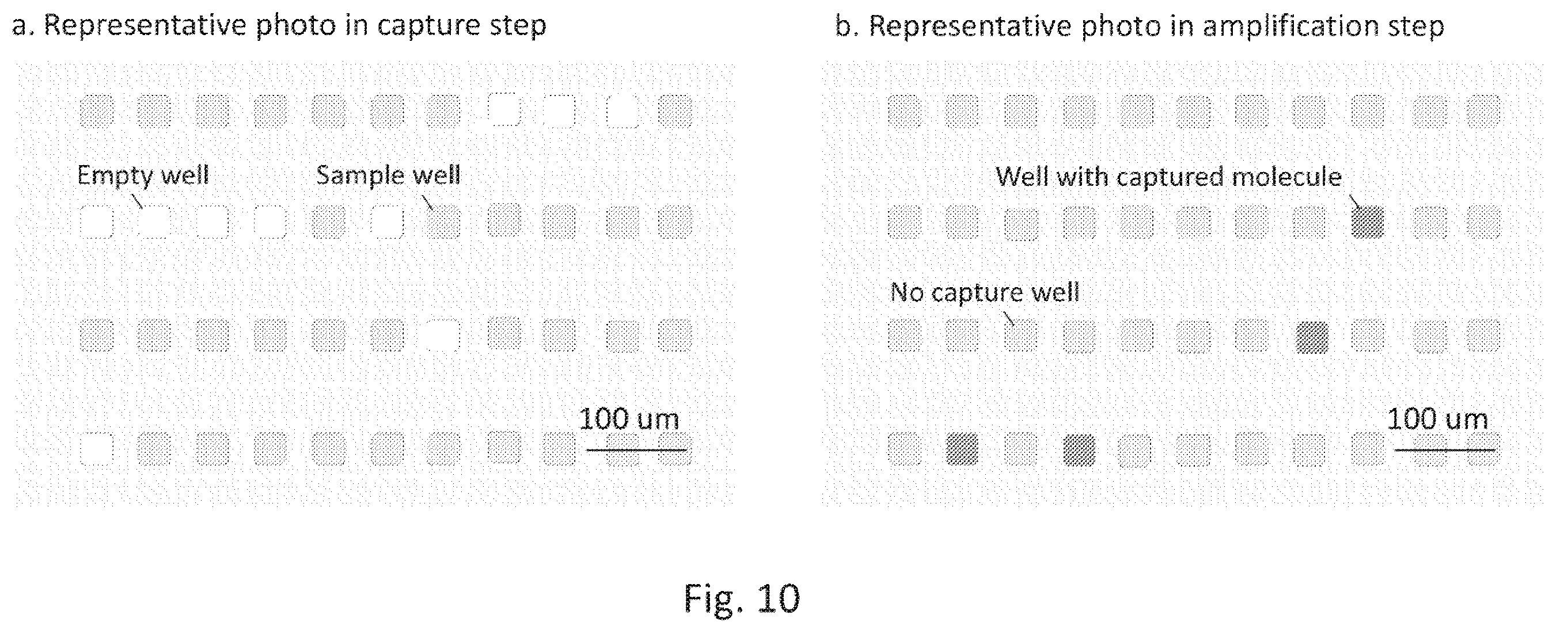 Patent US12569851 Figure 10 – Digital assay