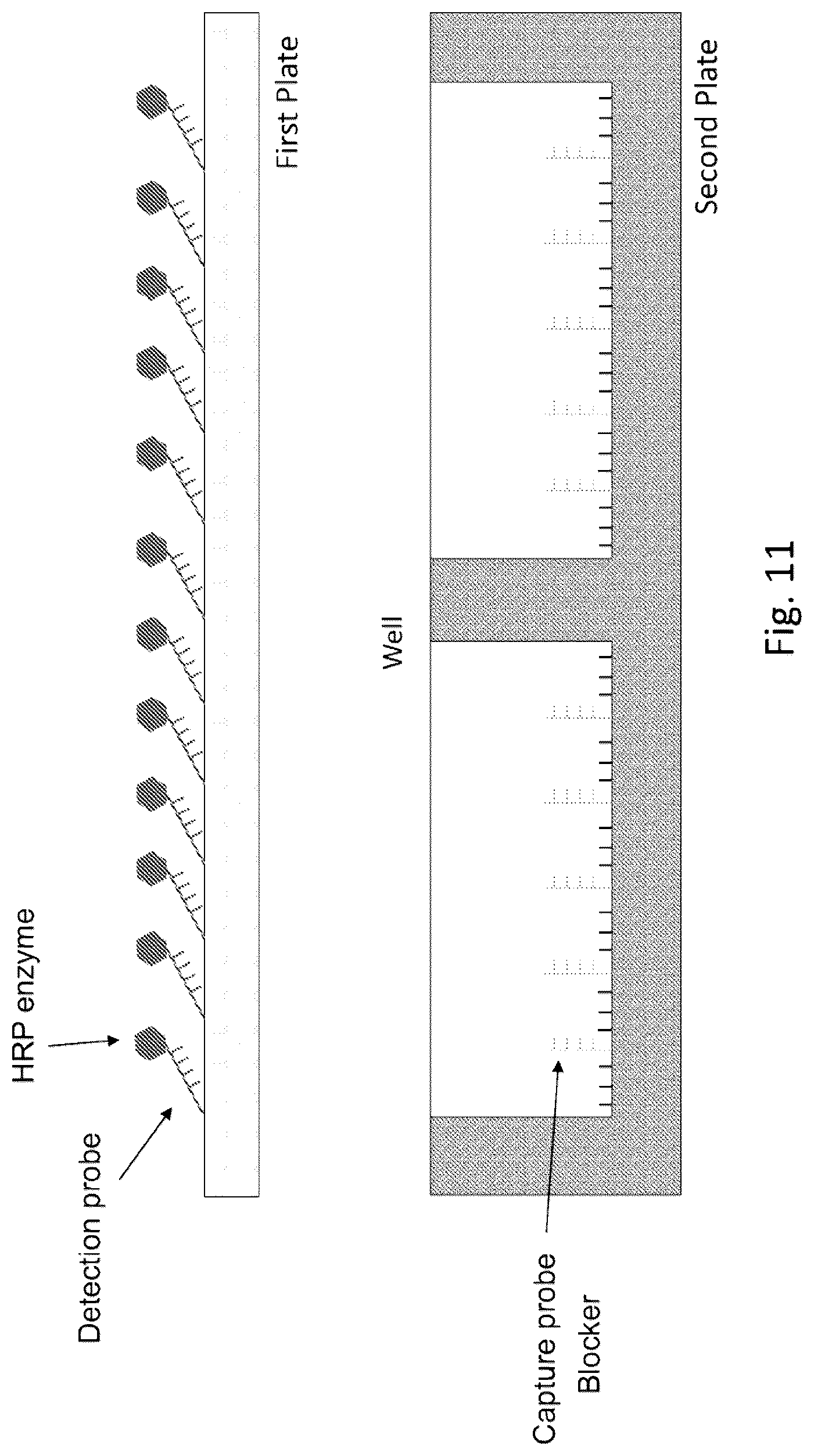 Patent US12569851 Figure 11 – Digital assay