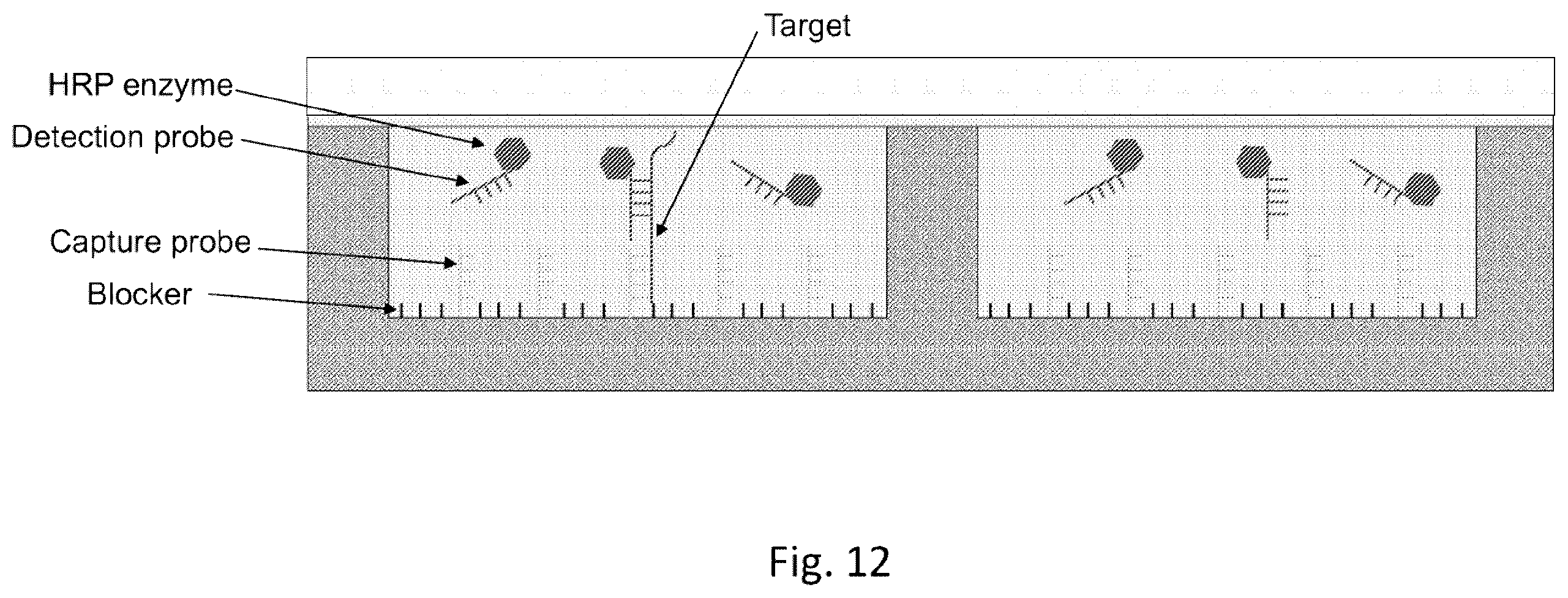 Patent US12569851 Figure 12 – Digital assay