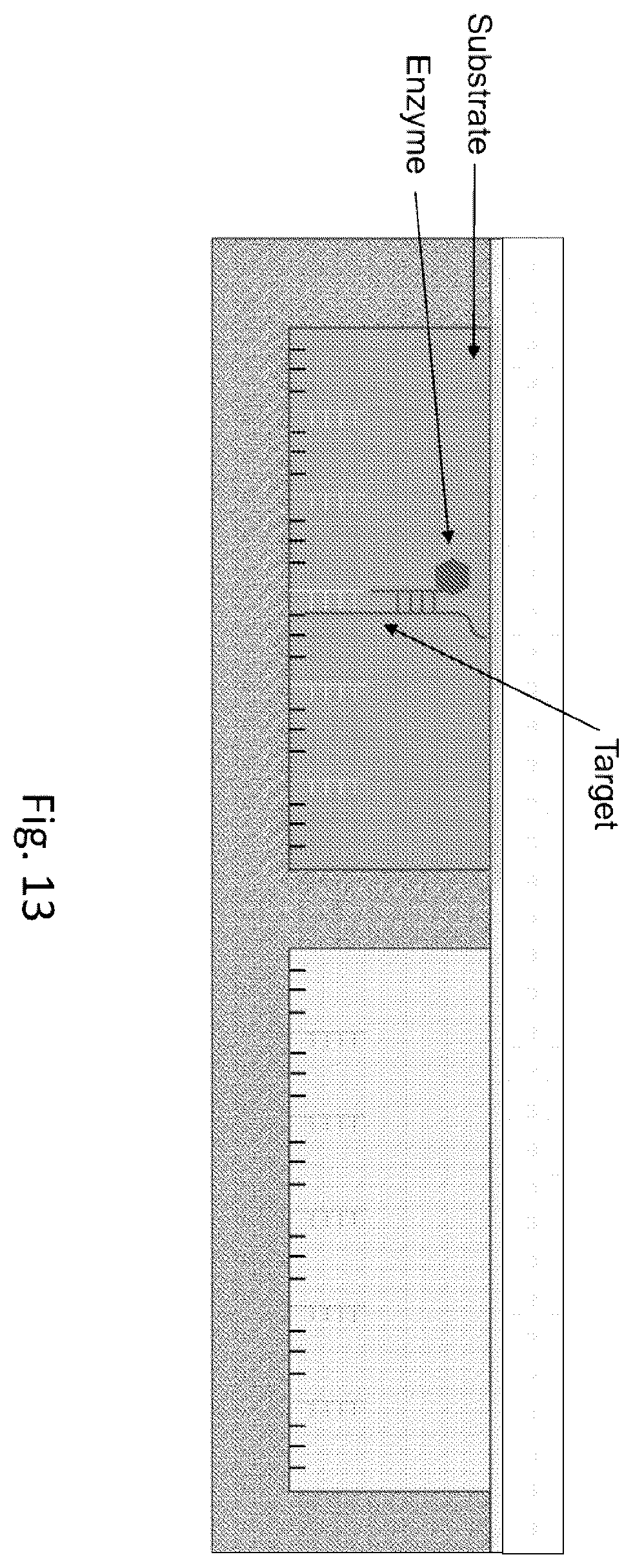 Patent US12569851 Figure 13 – Digital assay