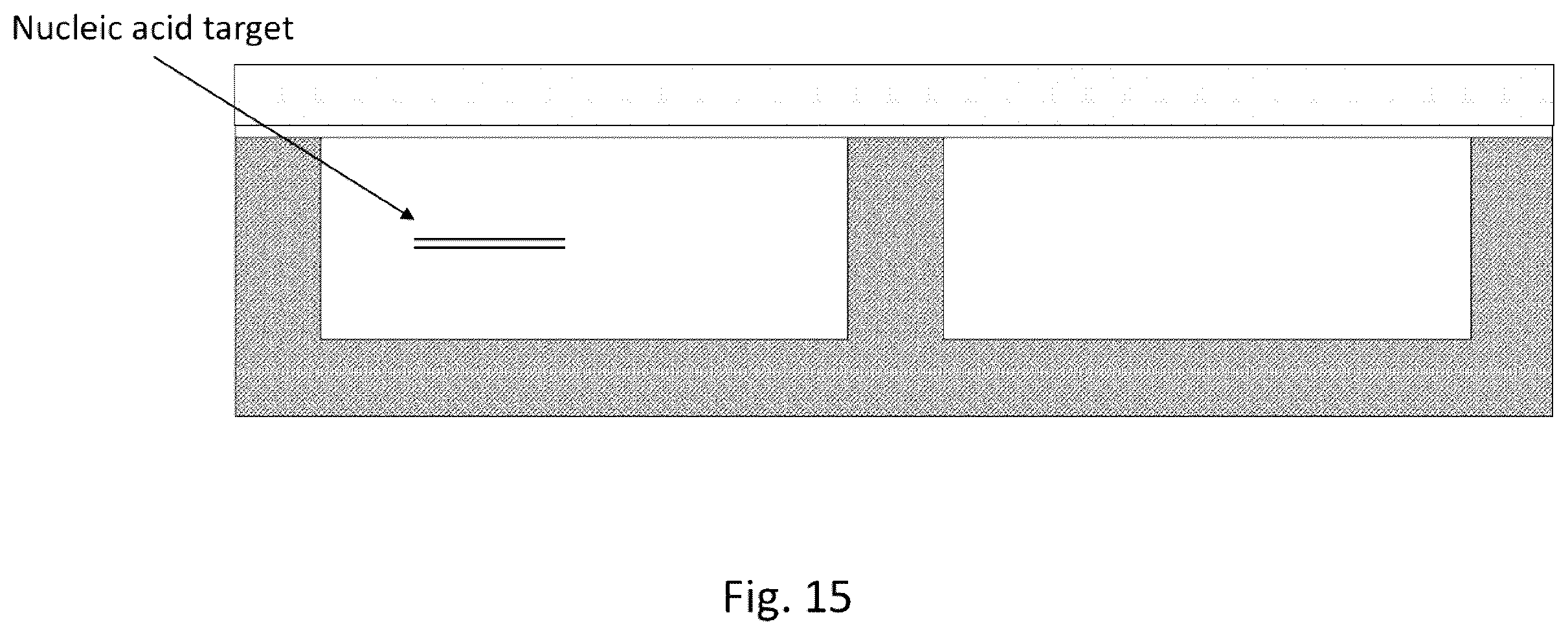 Patent US12569851 Figure 15 – Digital assay