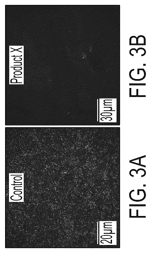 Patent US12569892 Figure 3 – Methods and compositions for decontaminating PD catheters