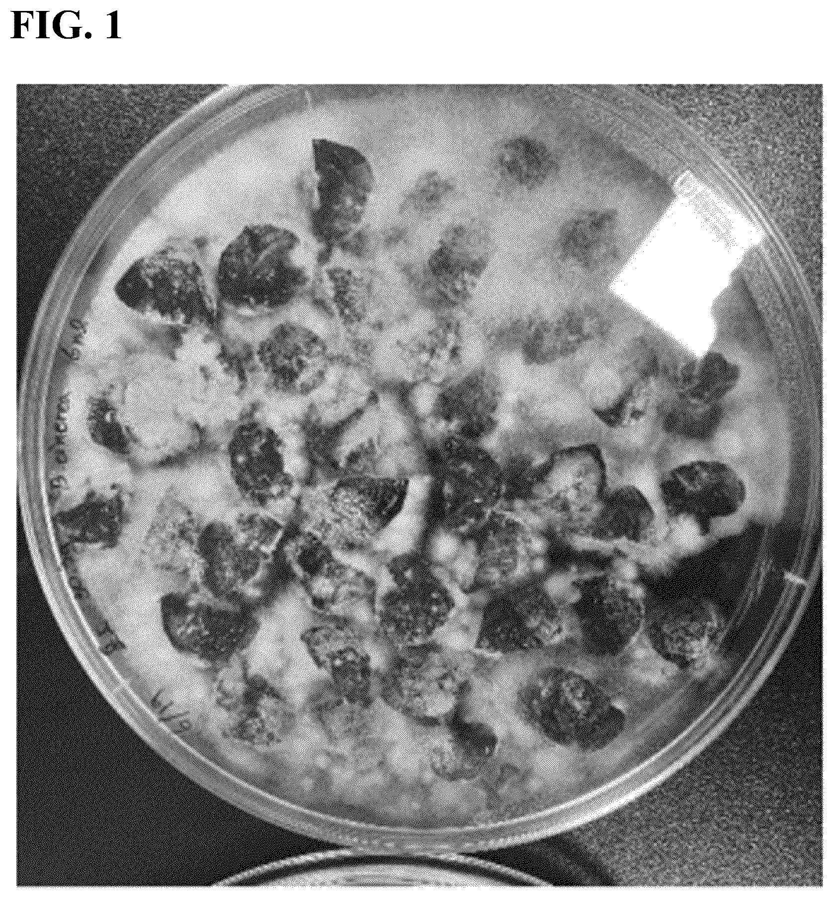 Patent US12576022 Figure 1 – Cosmetic composition comprising fermented grape extract